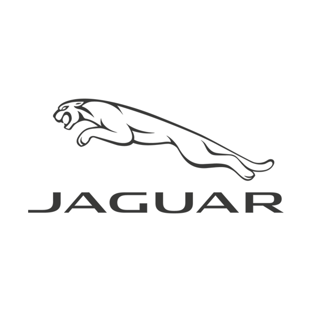 Black Jaguar logo with a leaping jaguar outline above the word "JAGUAR" in capital letters.