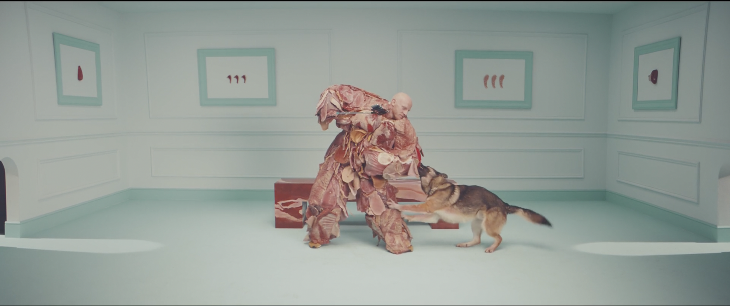 Dumb Tests Smart Phone