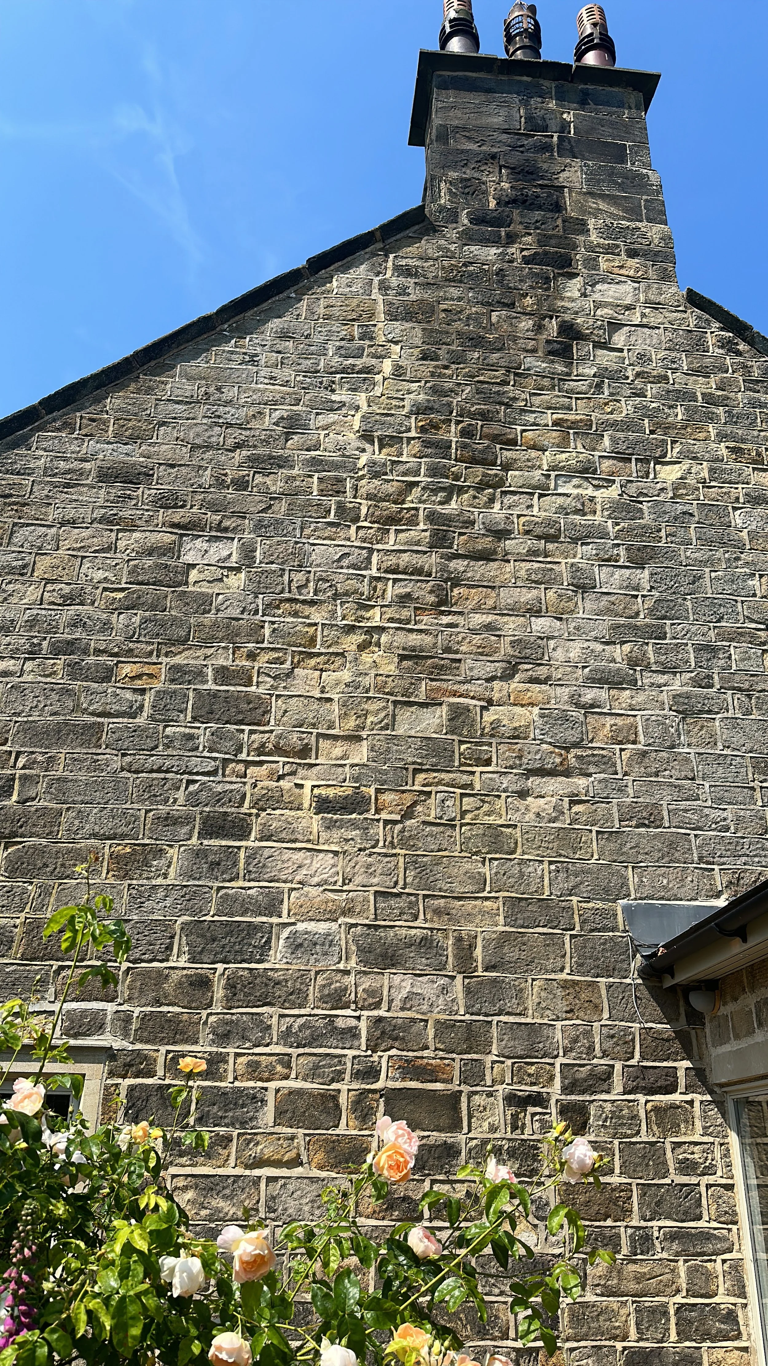 Conservation Lime Poiting