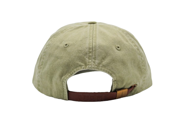GreenHatBack-removebg-preview.png