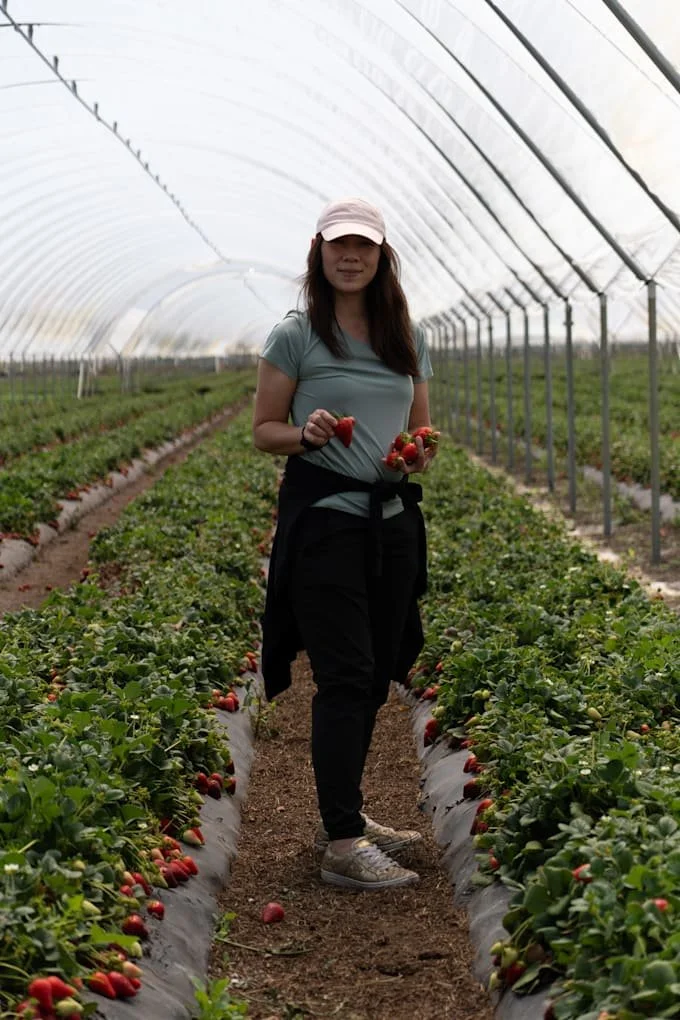 Wildlife Photo Editing.jpg