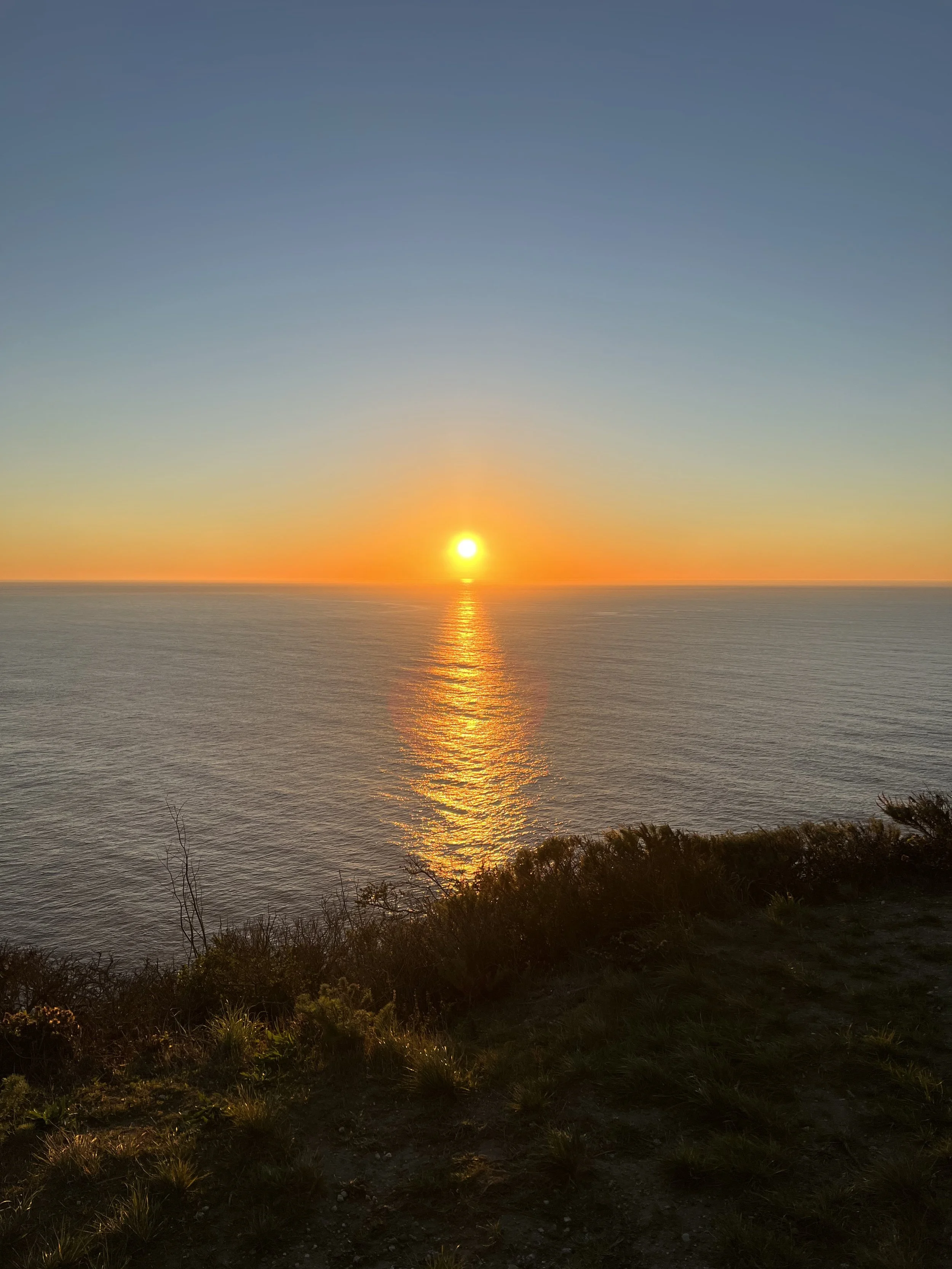 Sunset over the ocean with reflection on water, from a rocky shoreline with bushes and grass in the foreground.