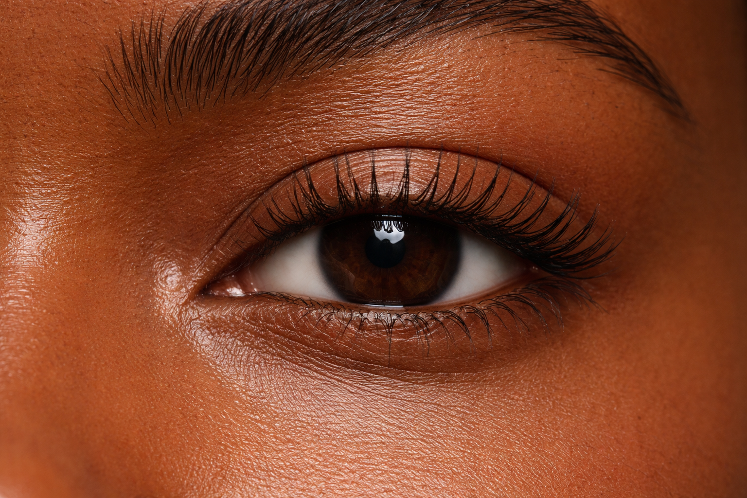 Lash lift and tint services in Central New Jersey designed to enhance natural lashes with added curl, depth, and definition