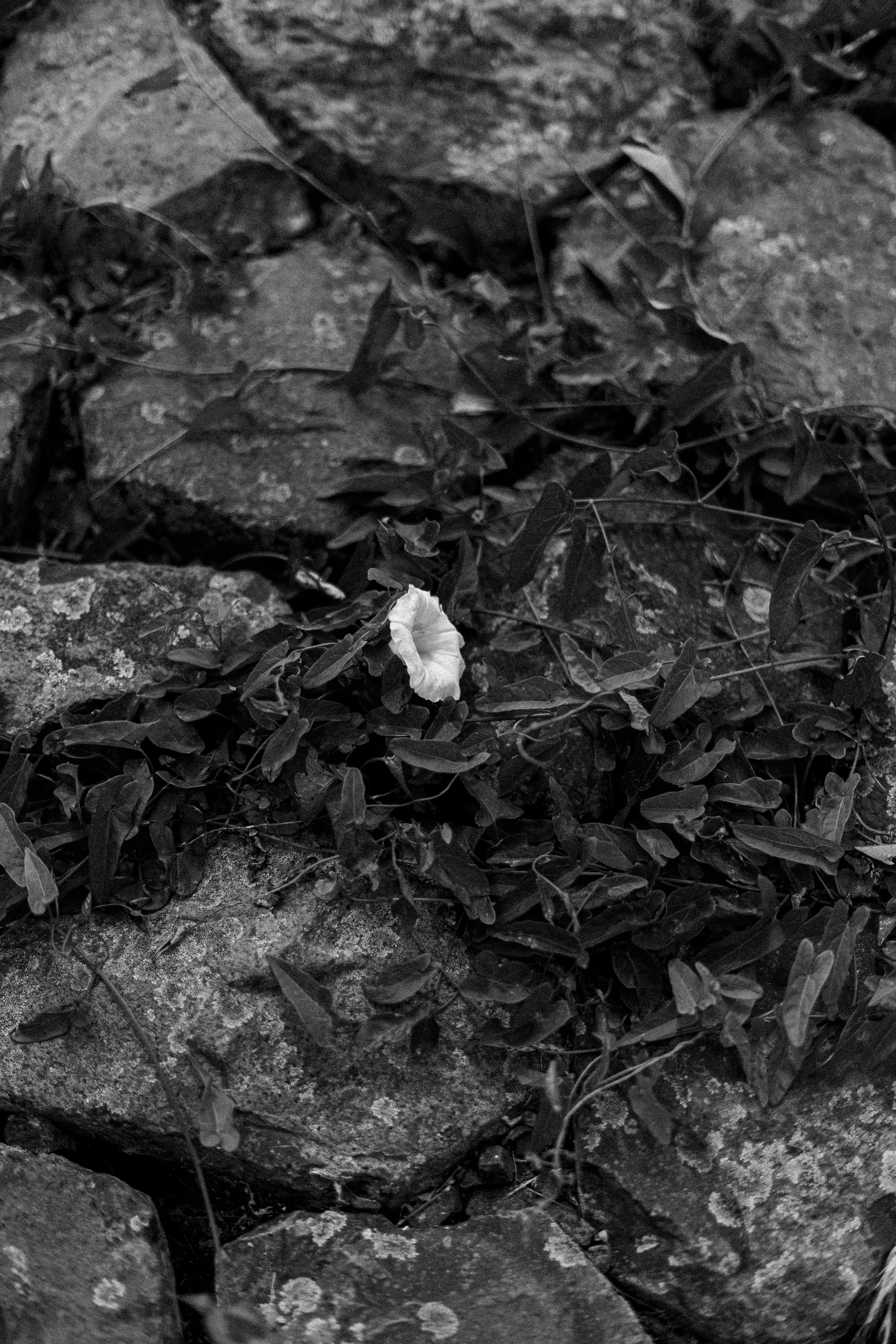 DSC09366.jpg