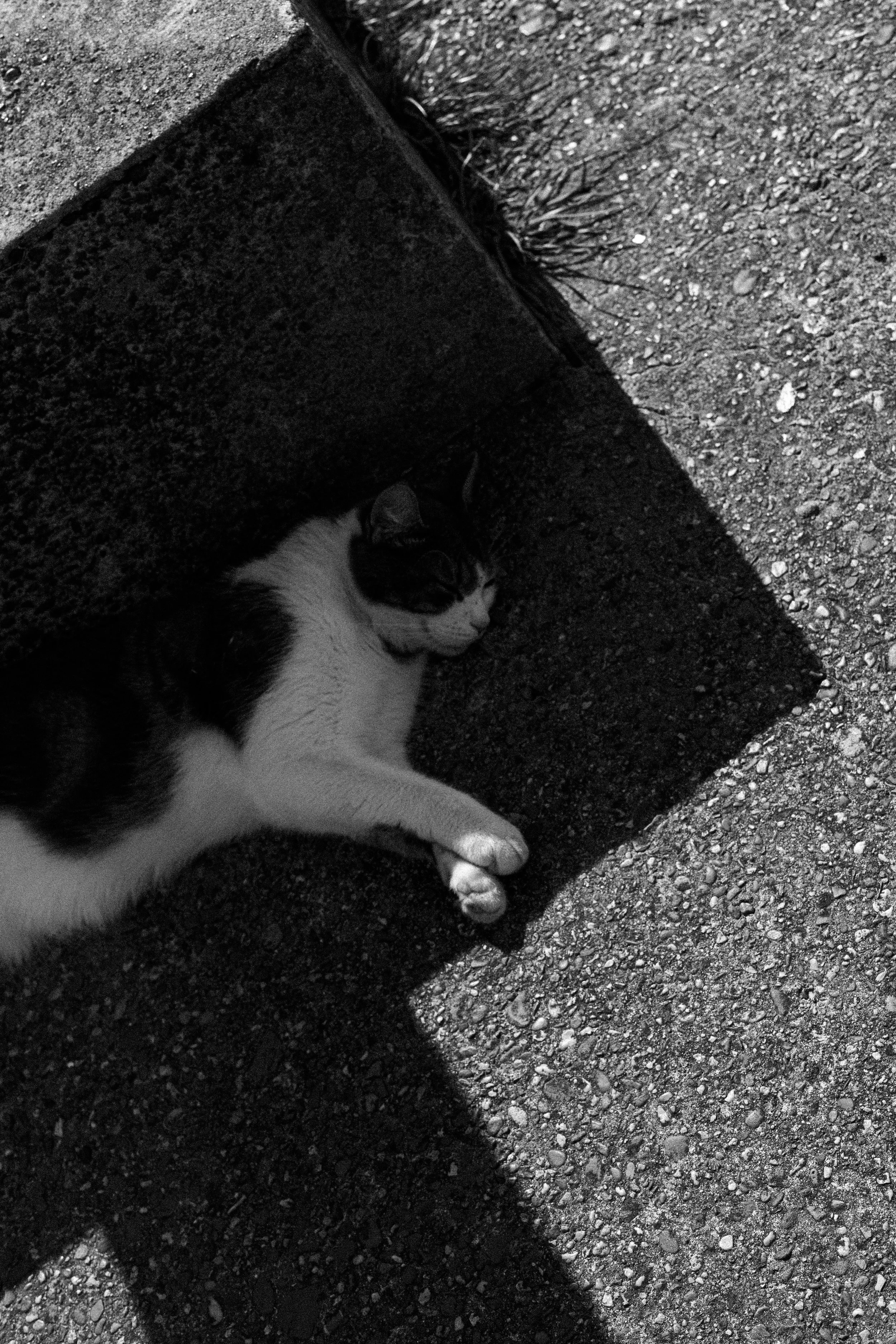 DSC09458.jpg