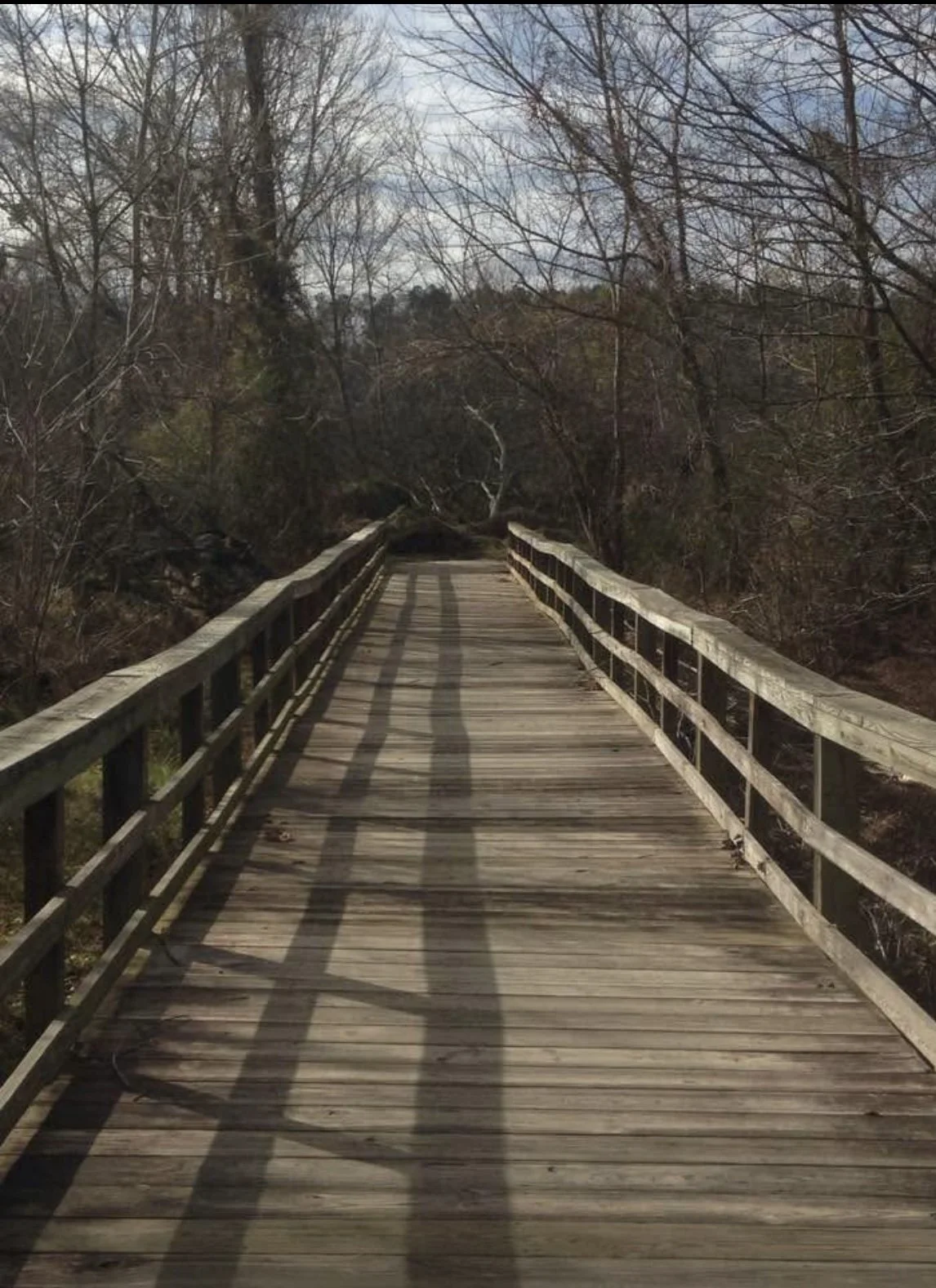 A wooden bridge with railings stretches through a wooded area, with leafless trees and branches on either side and shadows cast along the bridge.