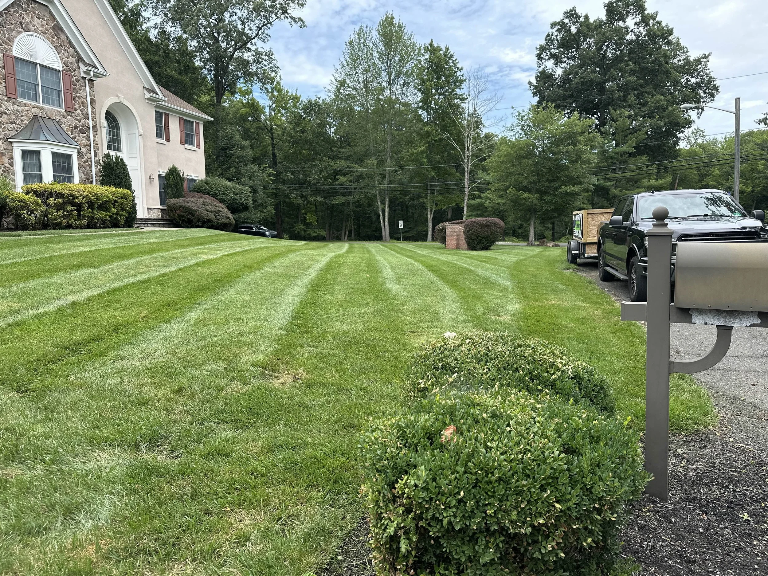 Grass Cutting Somerville.jpg