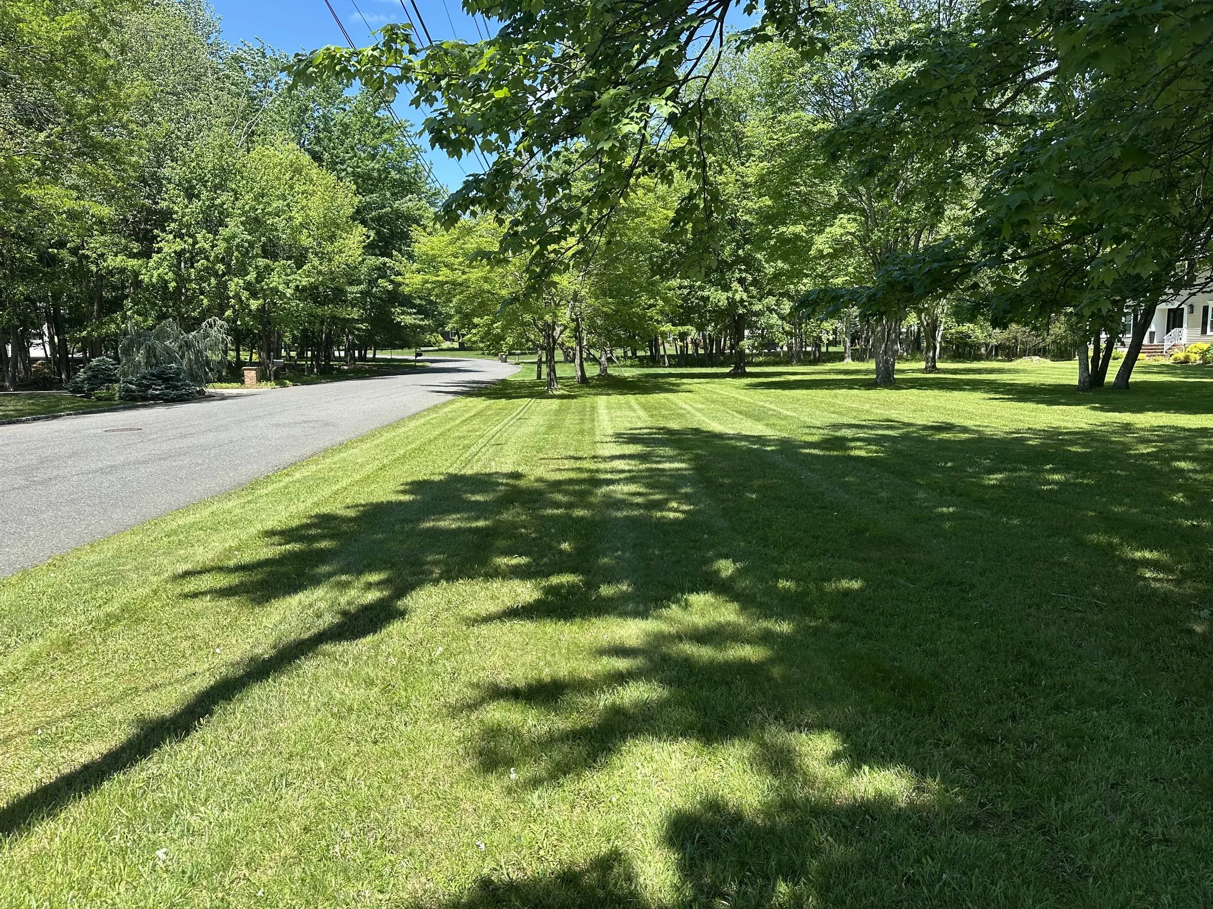 Grass Cutting Watchung.jpg