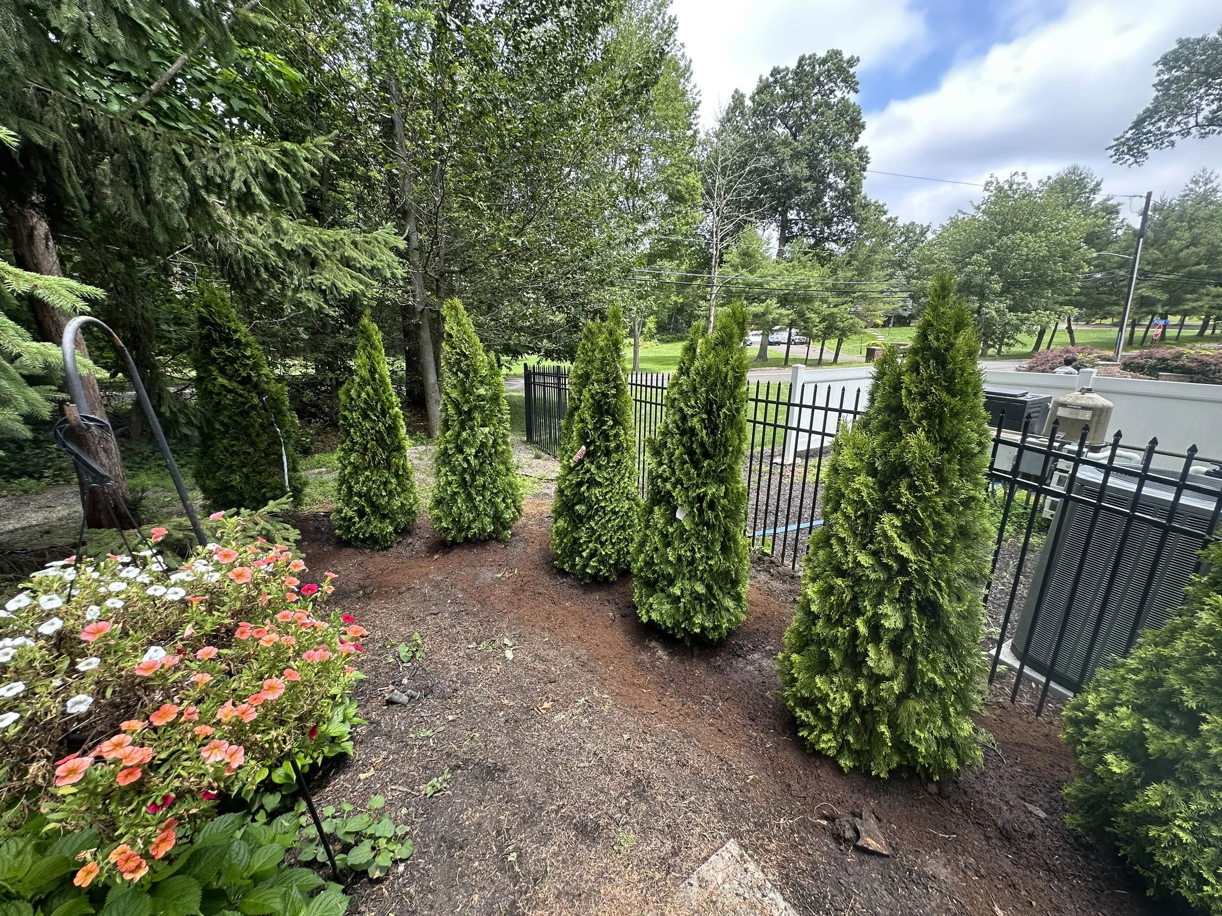 Landscaping Service Near Me Bridgewater NJ.jpg