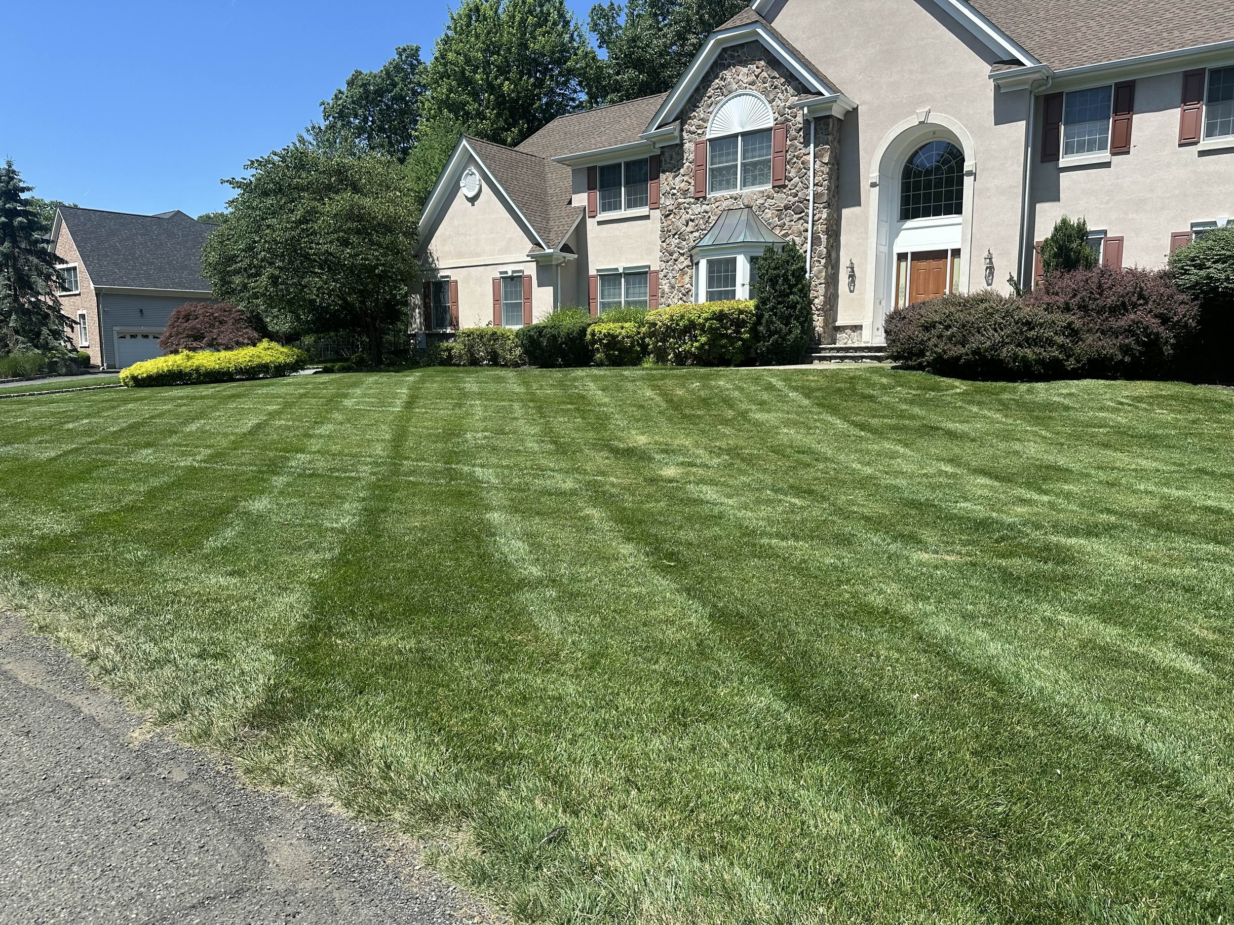 Grass Cutting Warren.jpg