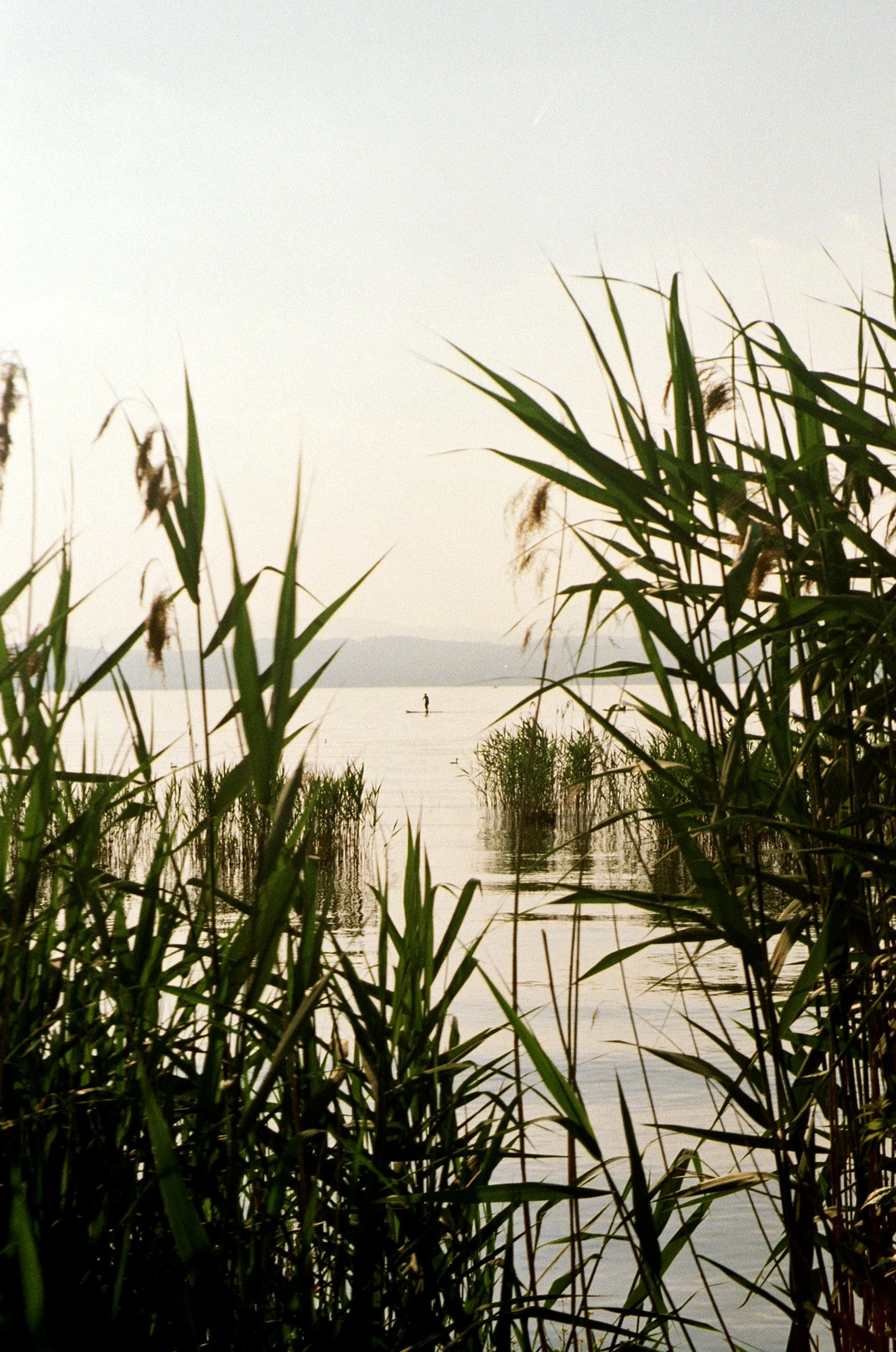 Parco San Vito, Lake Garda.
