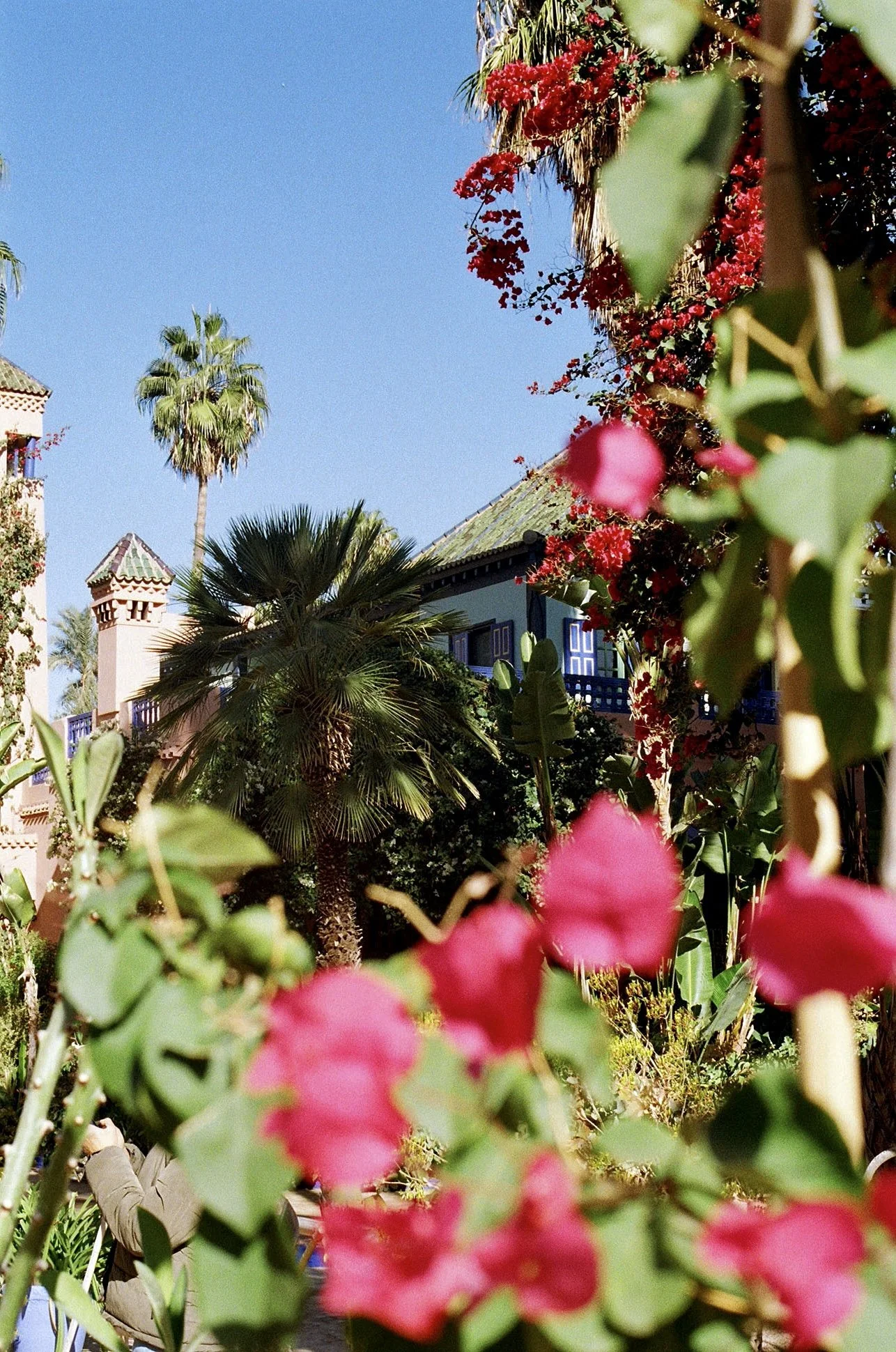 Jardin Majorelle, Marrakech.