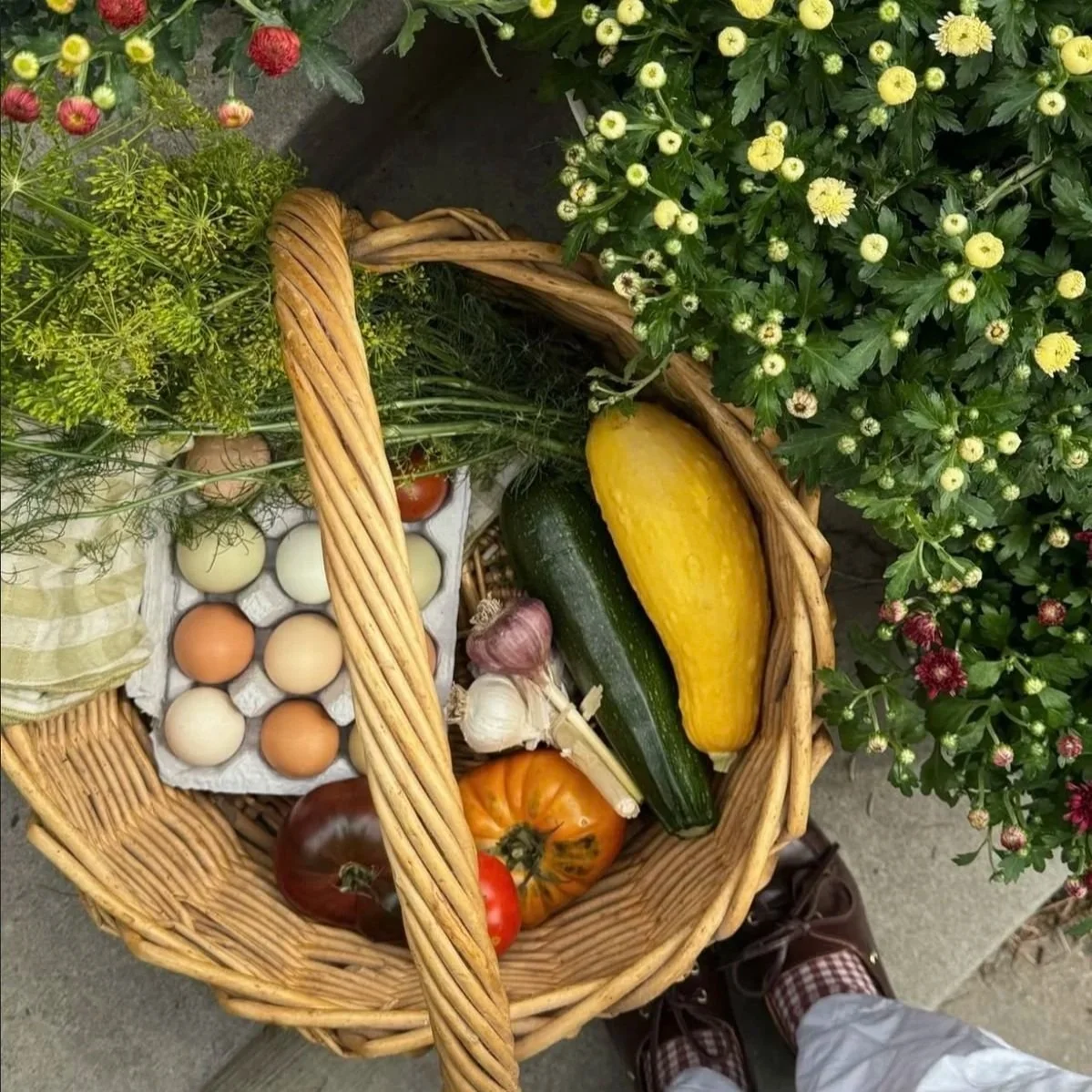 Fresh, organic, whole foods that inspire wellness, health, longevity, and hormone support.