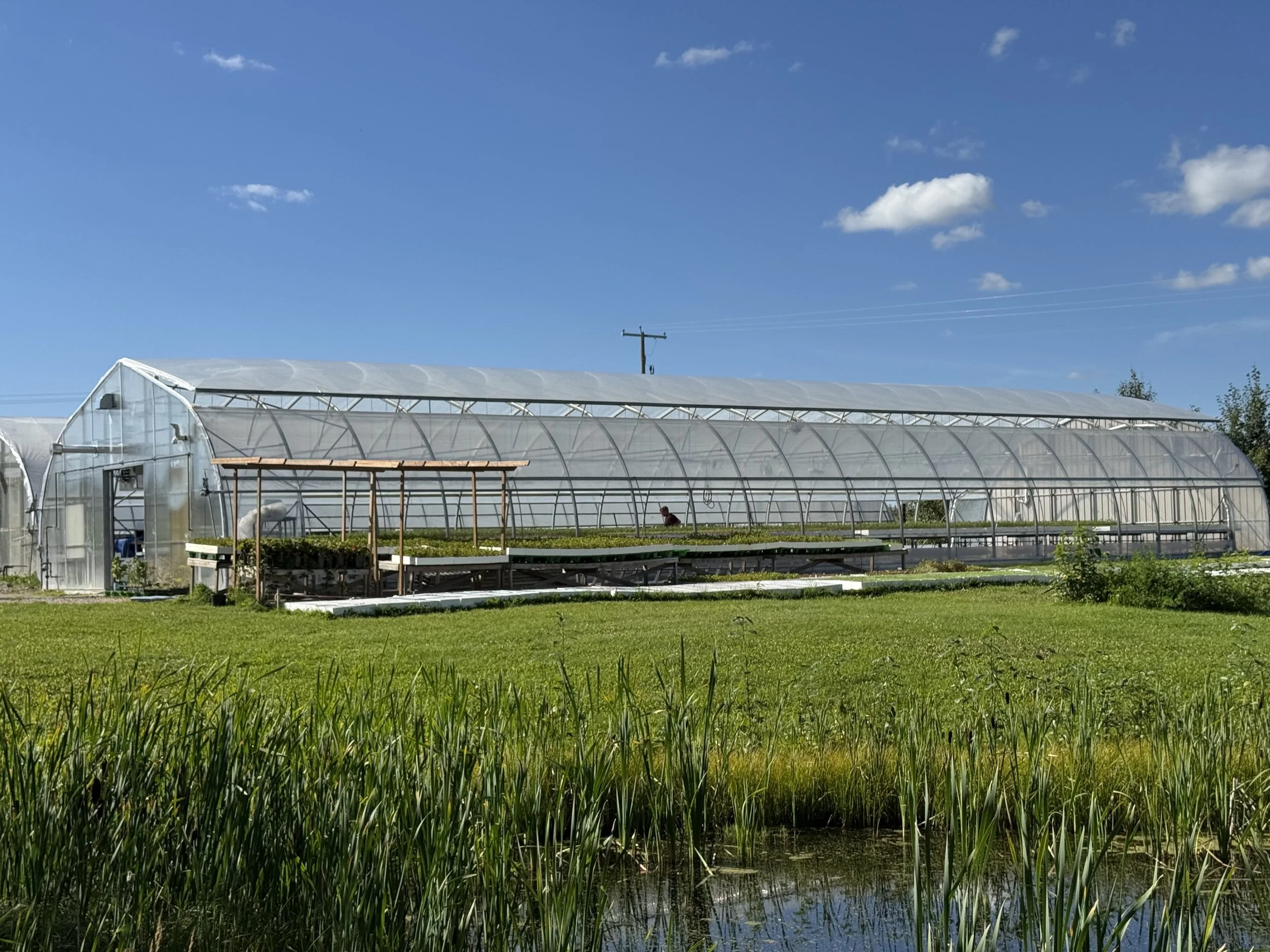 Greenhouse Outside