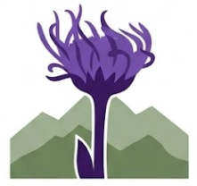 Pioneer Plant Solutions Inc.