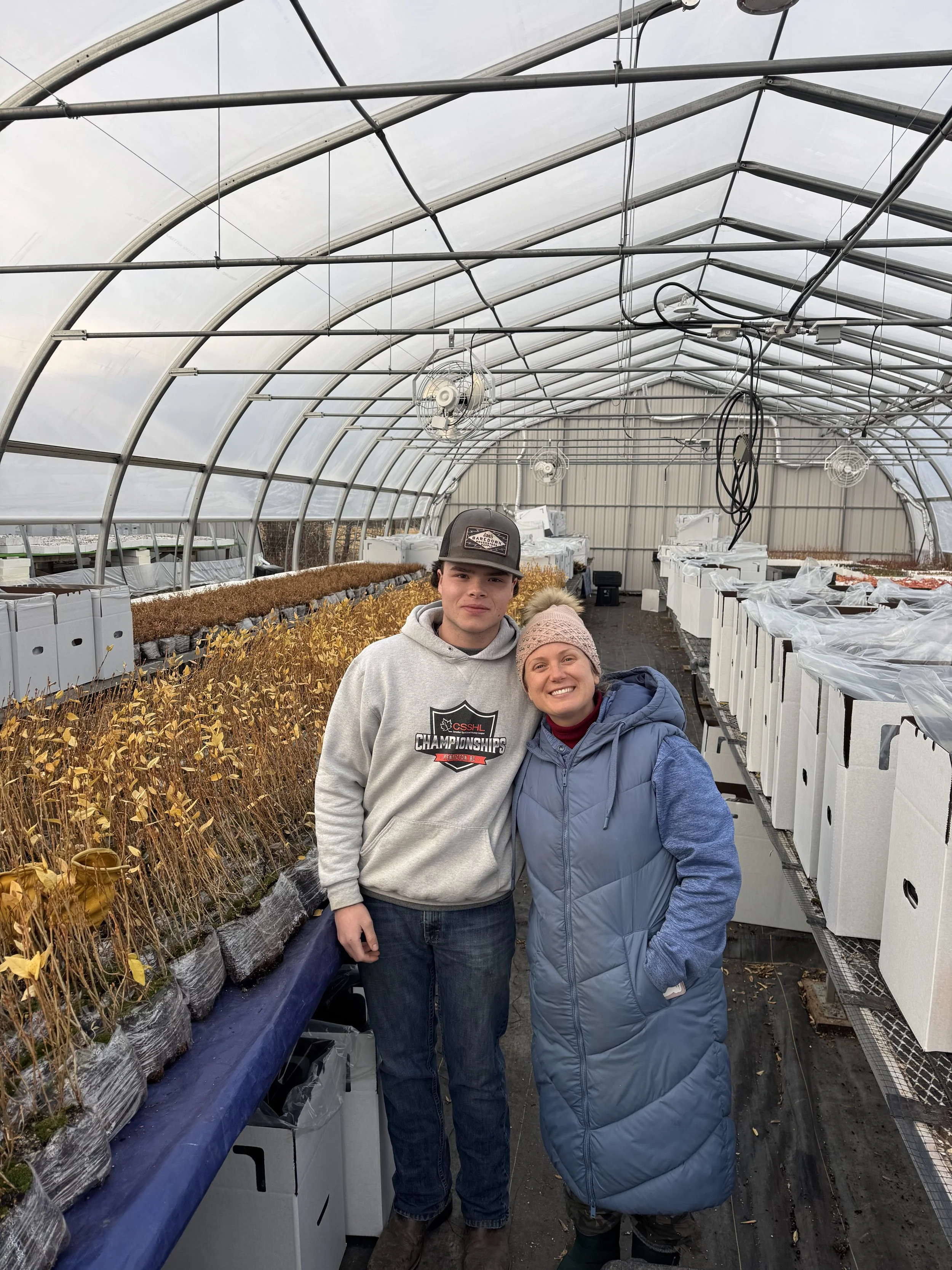 Two people standing inside a greenhouse with rows of dried plants in pots and numerous fans attached to the ceiling.