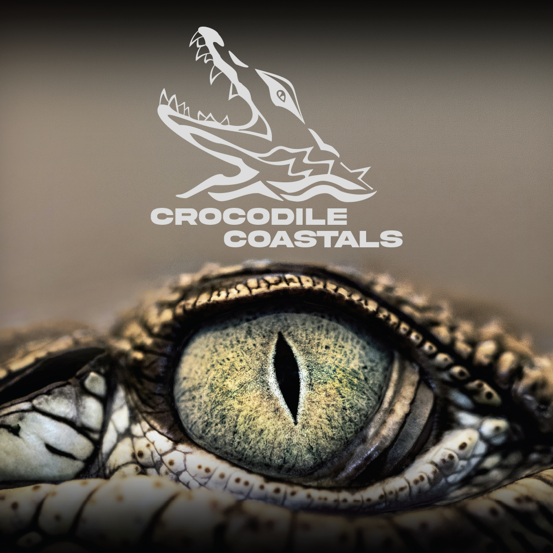 Crocodile Coastals | Logo/Brand Design