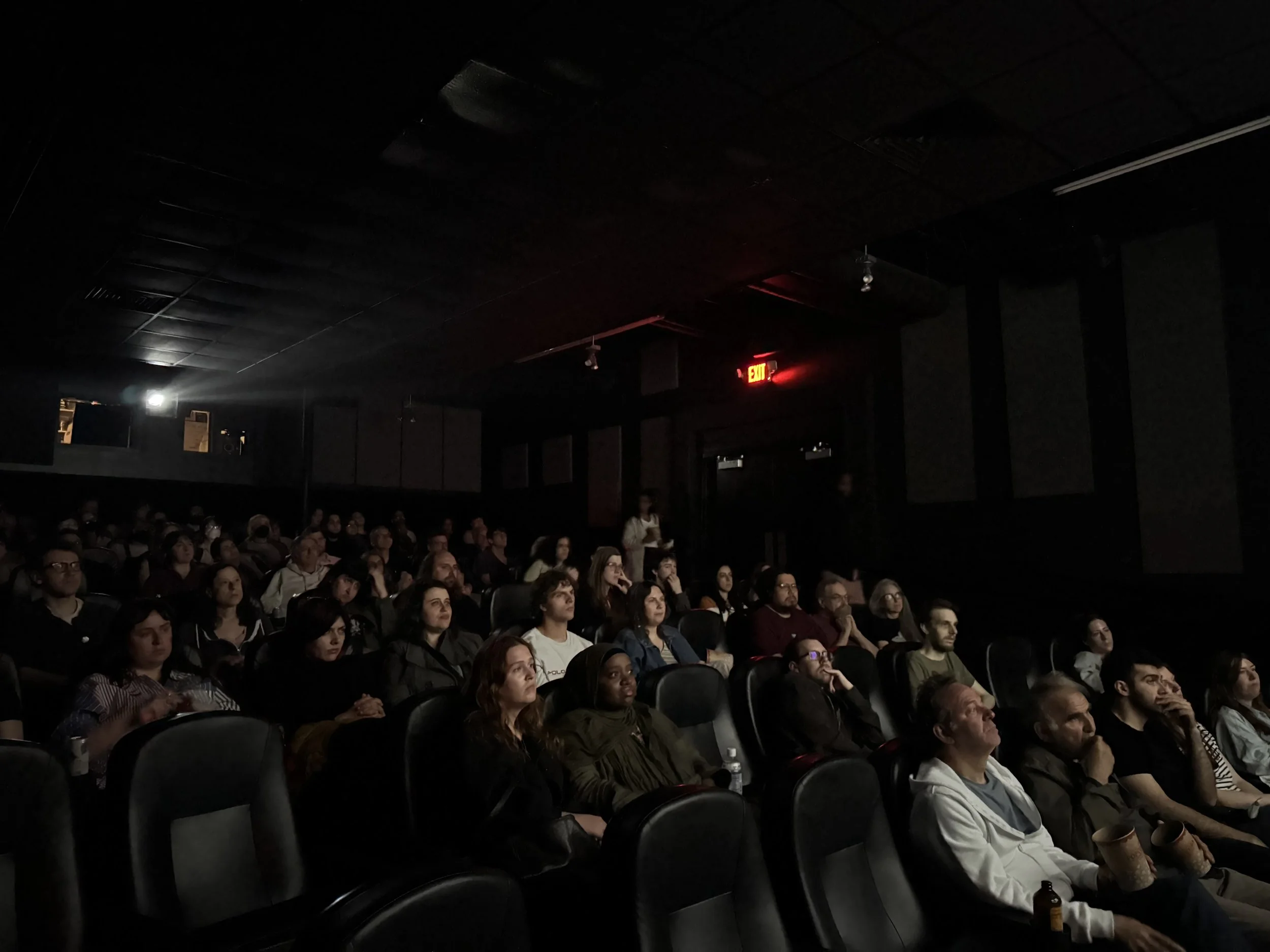 Audience sitting in a dark theater or auditorium, watching a presentation or performance.