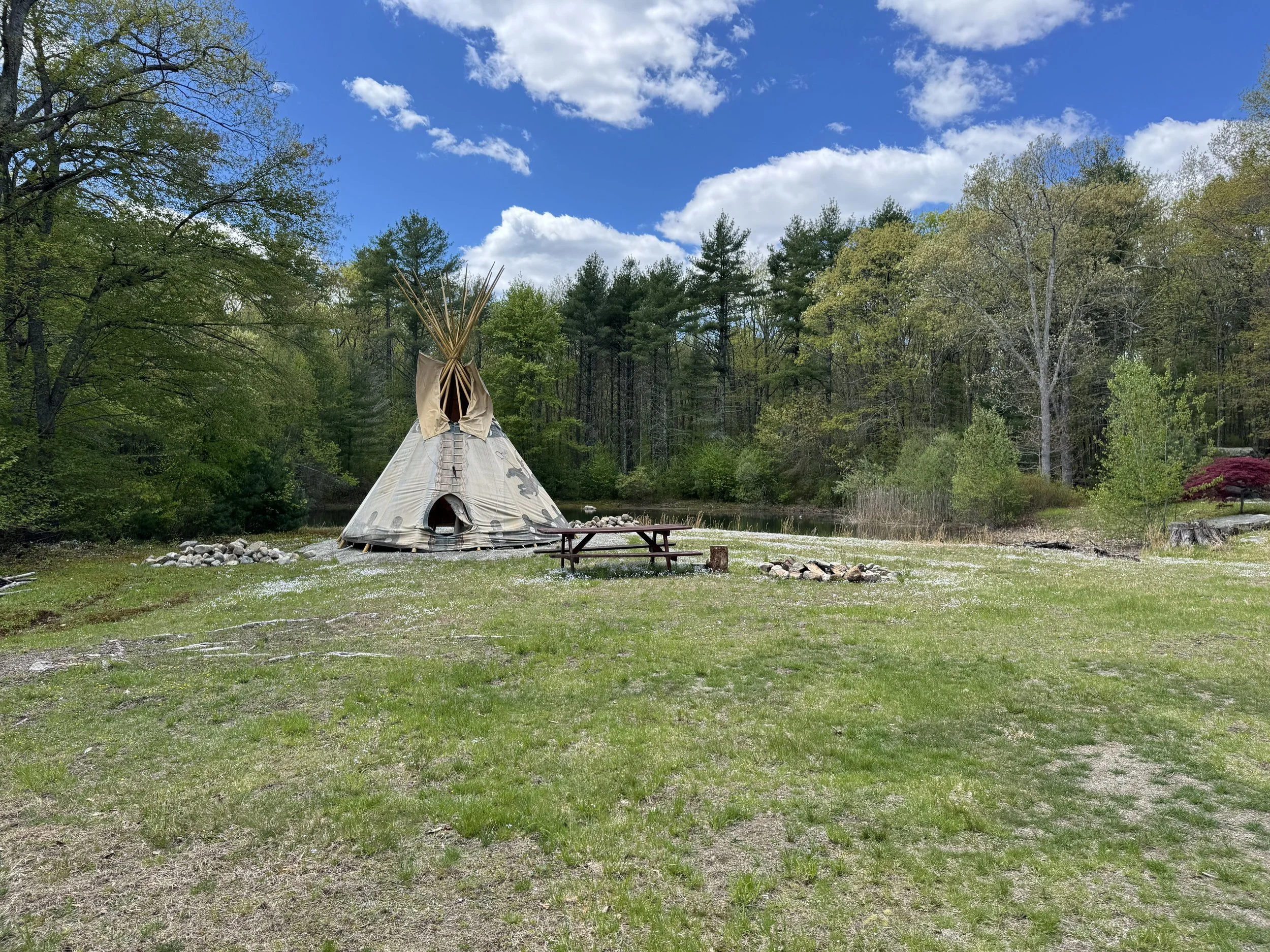 Tipi