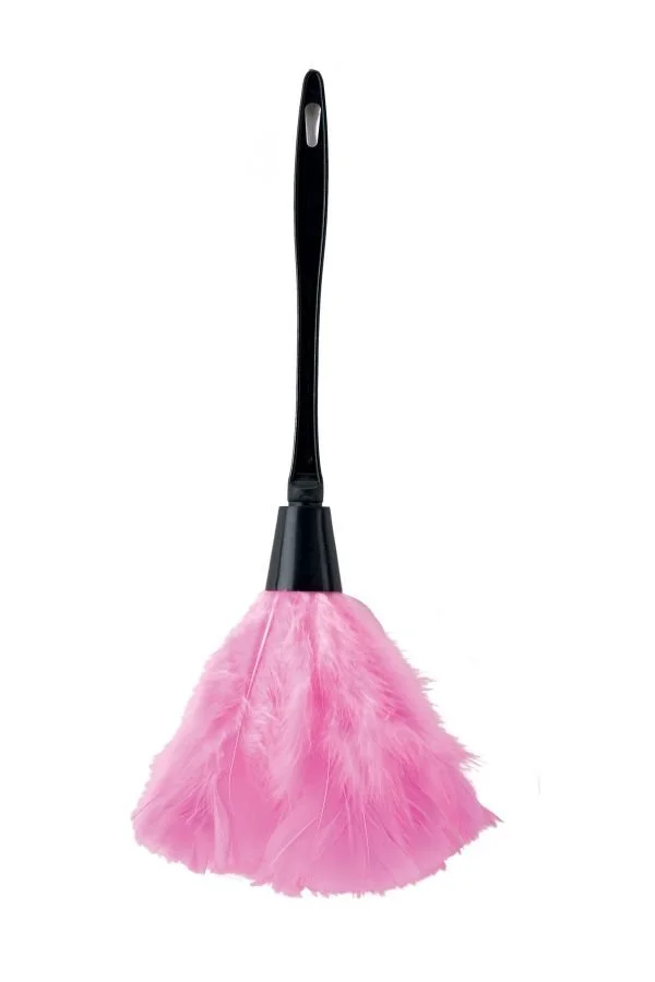 Αποκριάτικο Αξεσουάρ Σκούπακι Καμαριέρας