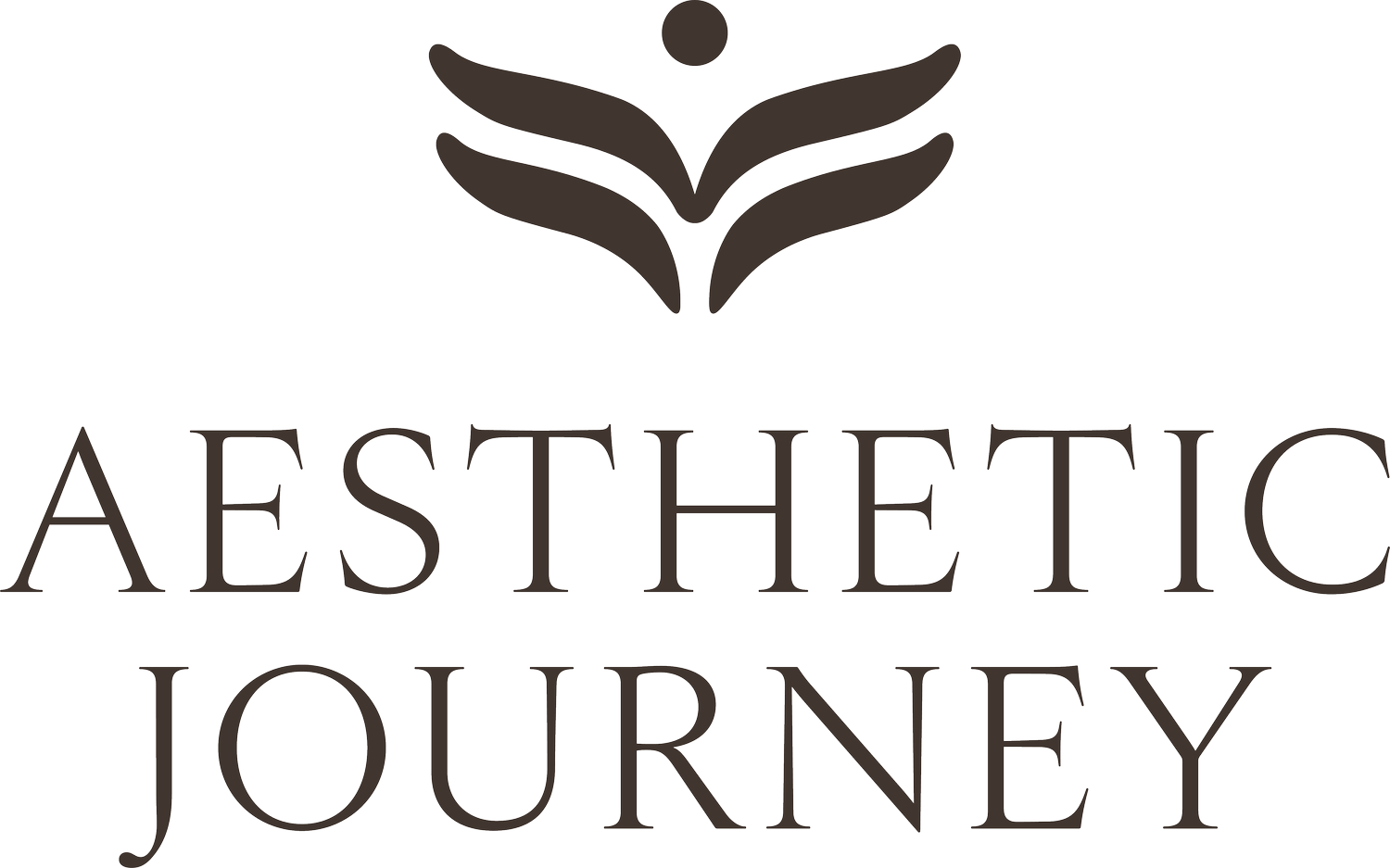 The Aesthetic Journey (Copy)