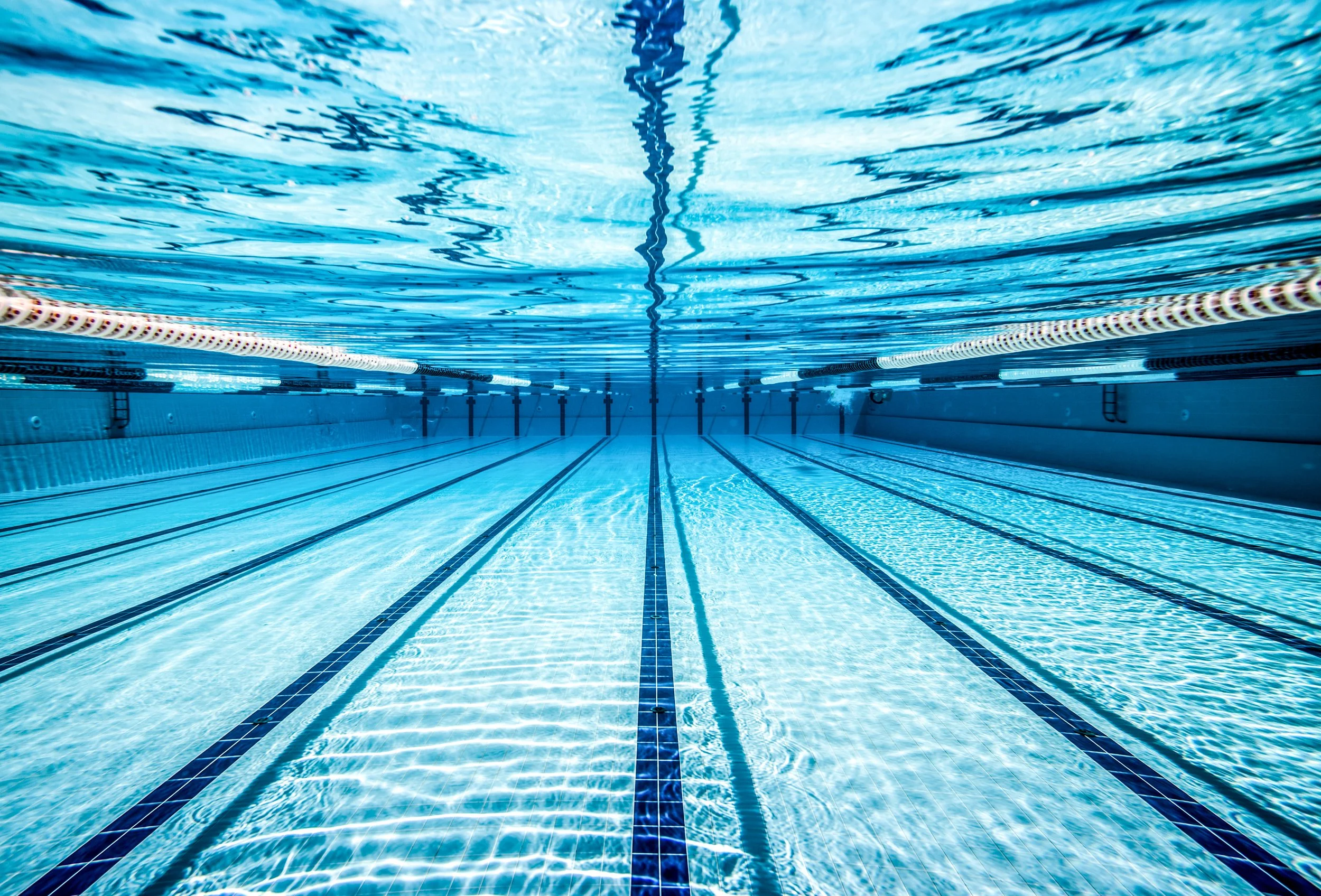 Empty indoor swimming pool with lane lines and ladder, viewed from underwater.