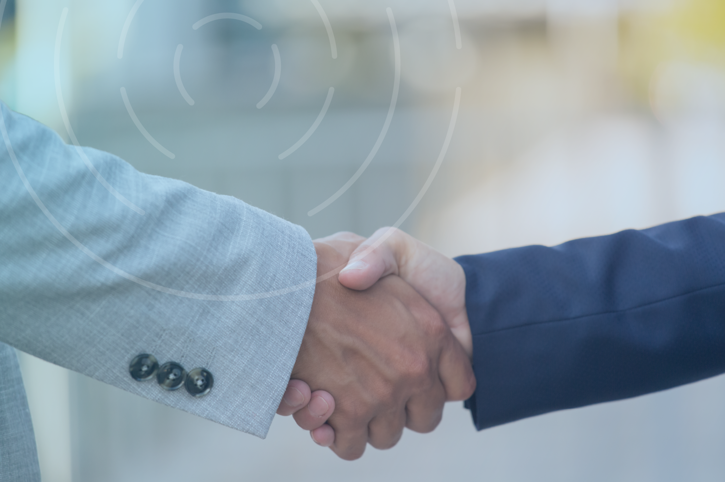 Other agreed-upon procedures engagements for New Zealand businesses and organisations, focused on specific financial or operational matters.