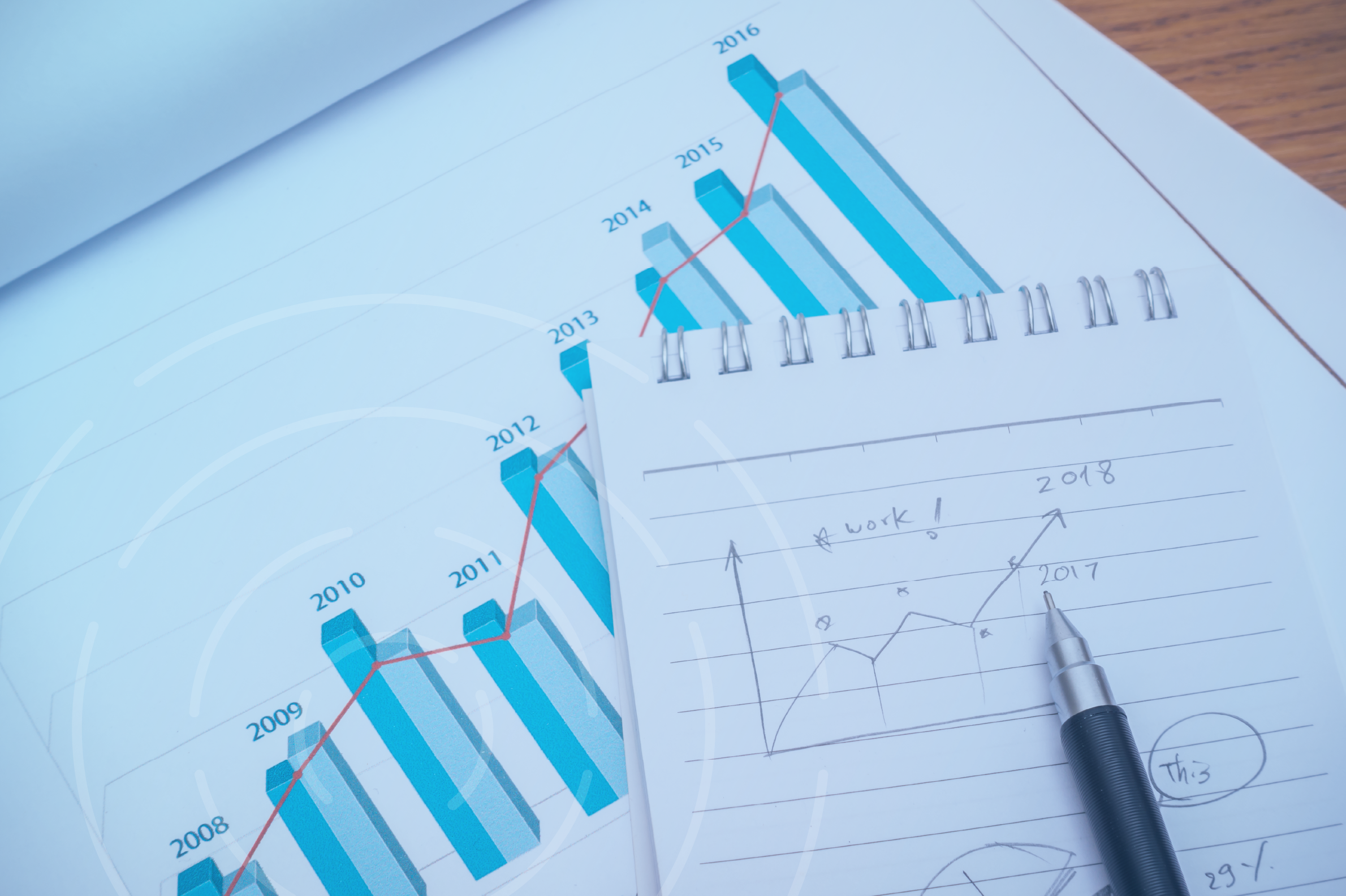 Independent review services providing appropriate assurance over financial statements for New Zealand businesses and organisations.