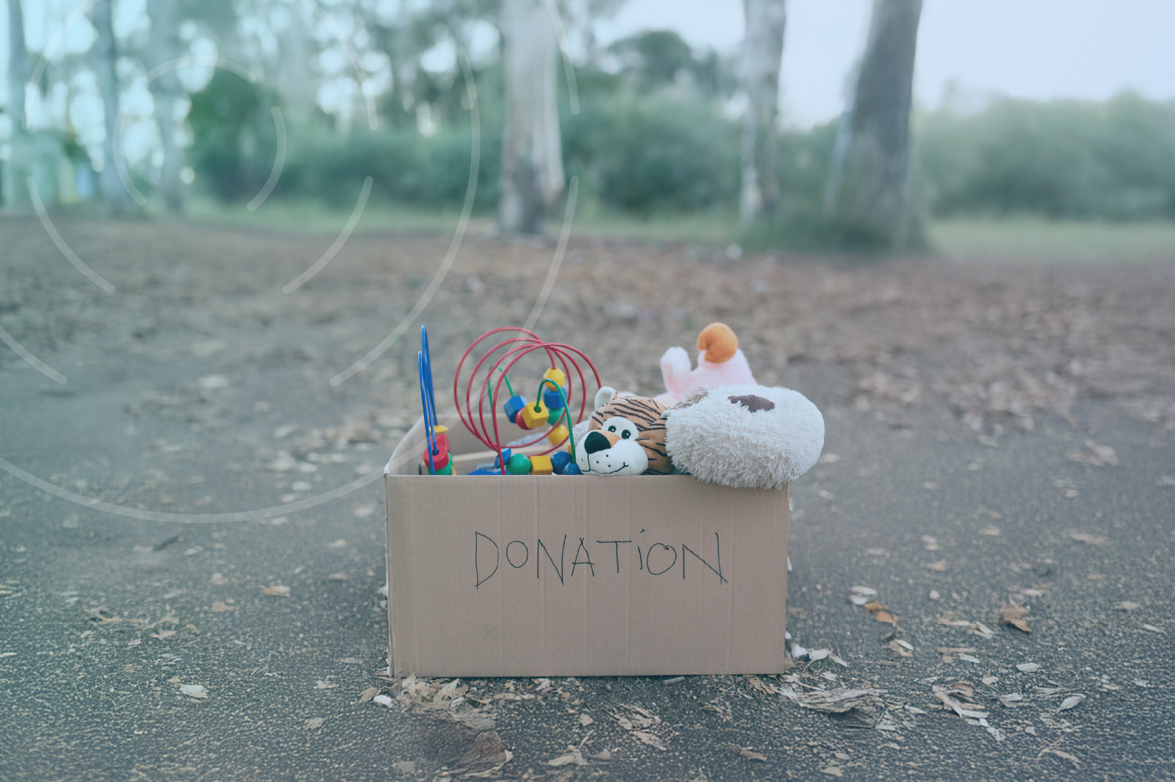 statement-of-service-performance-professional-services