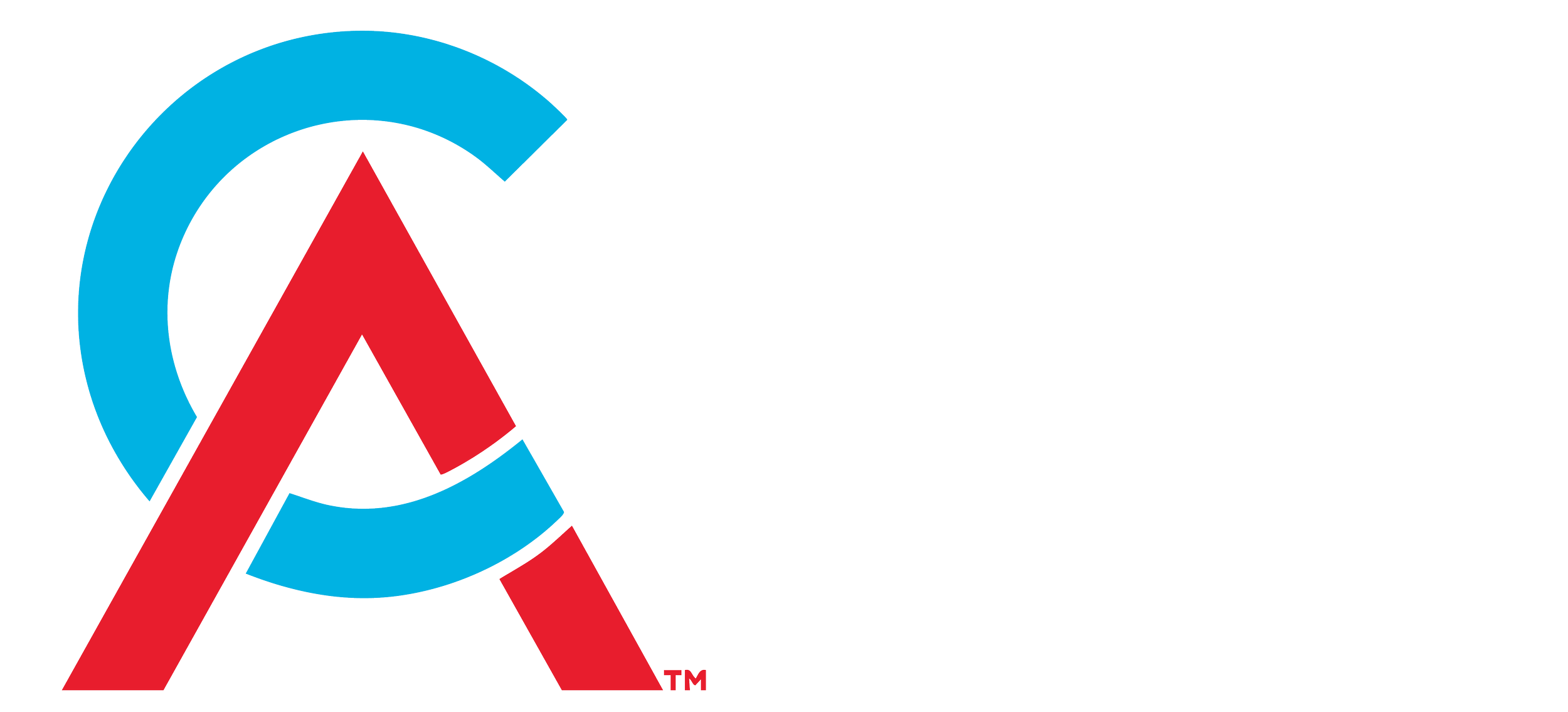 Logo of Chartered Accountants Australia + New Zealand featuring a stylized 'A' in red and a blue semi-circle, with the text 'Chartered Accountants Australia + New Zealand' beside it.