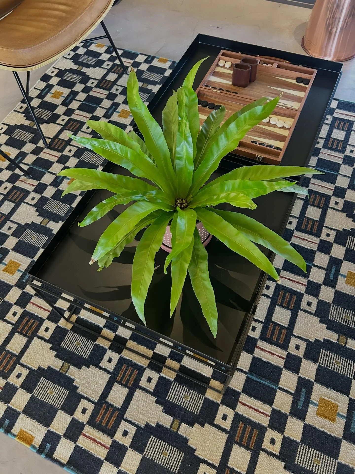 Plants really do elevate a space.