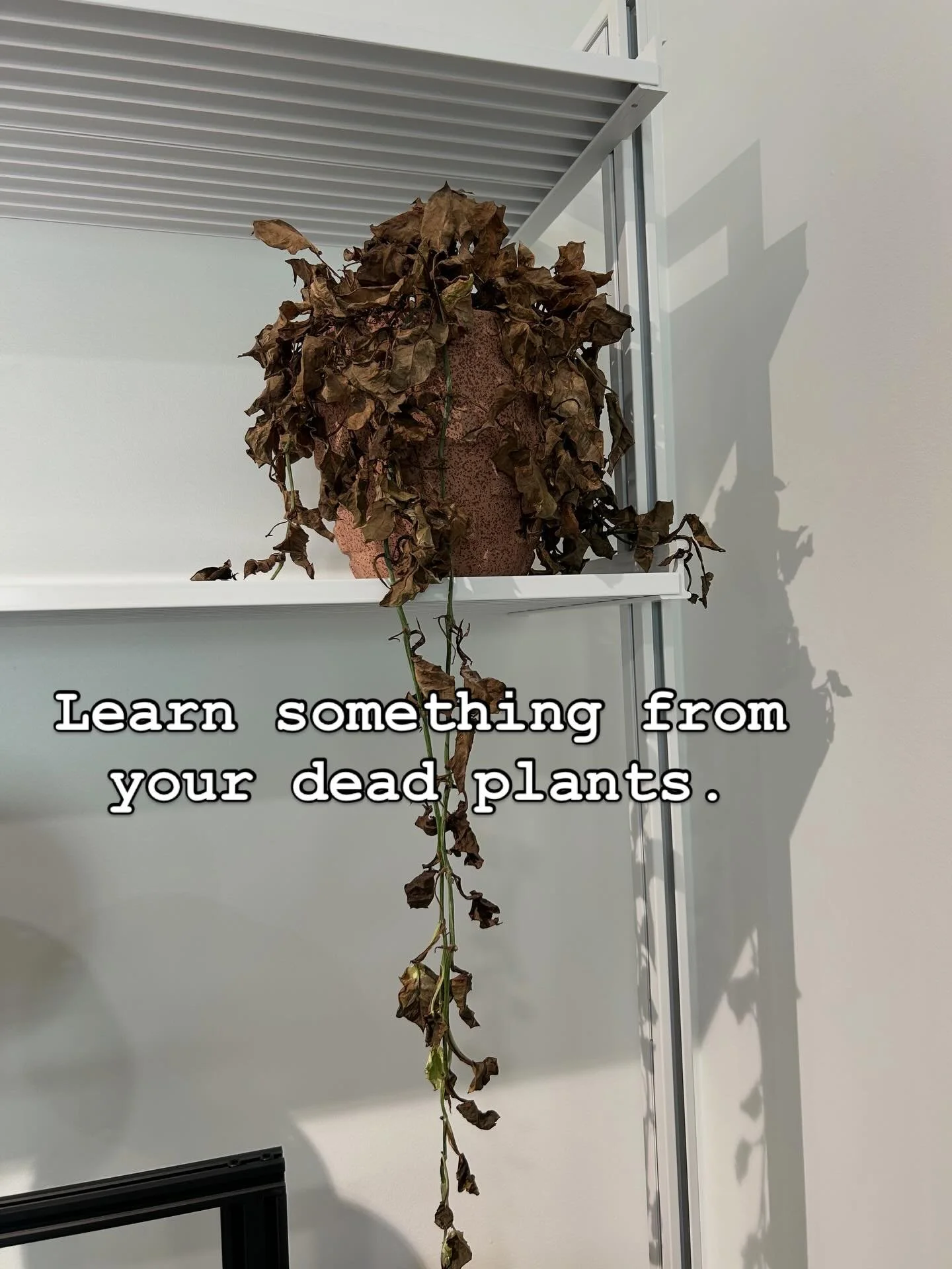 Even the dead plants are teaching us, if we&rsquo;re willing to learn.