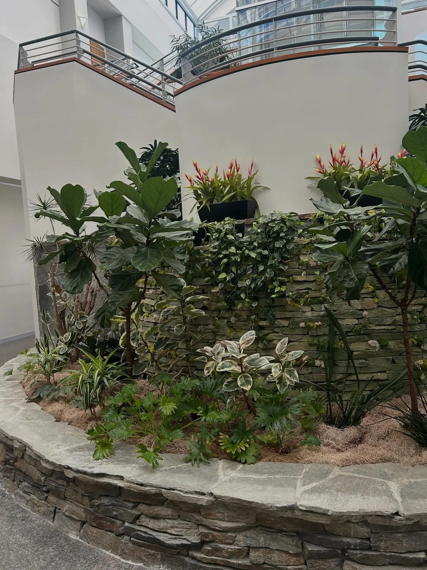 Got plants?!
All in days work. 😮&zwj;💨