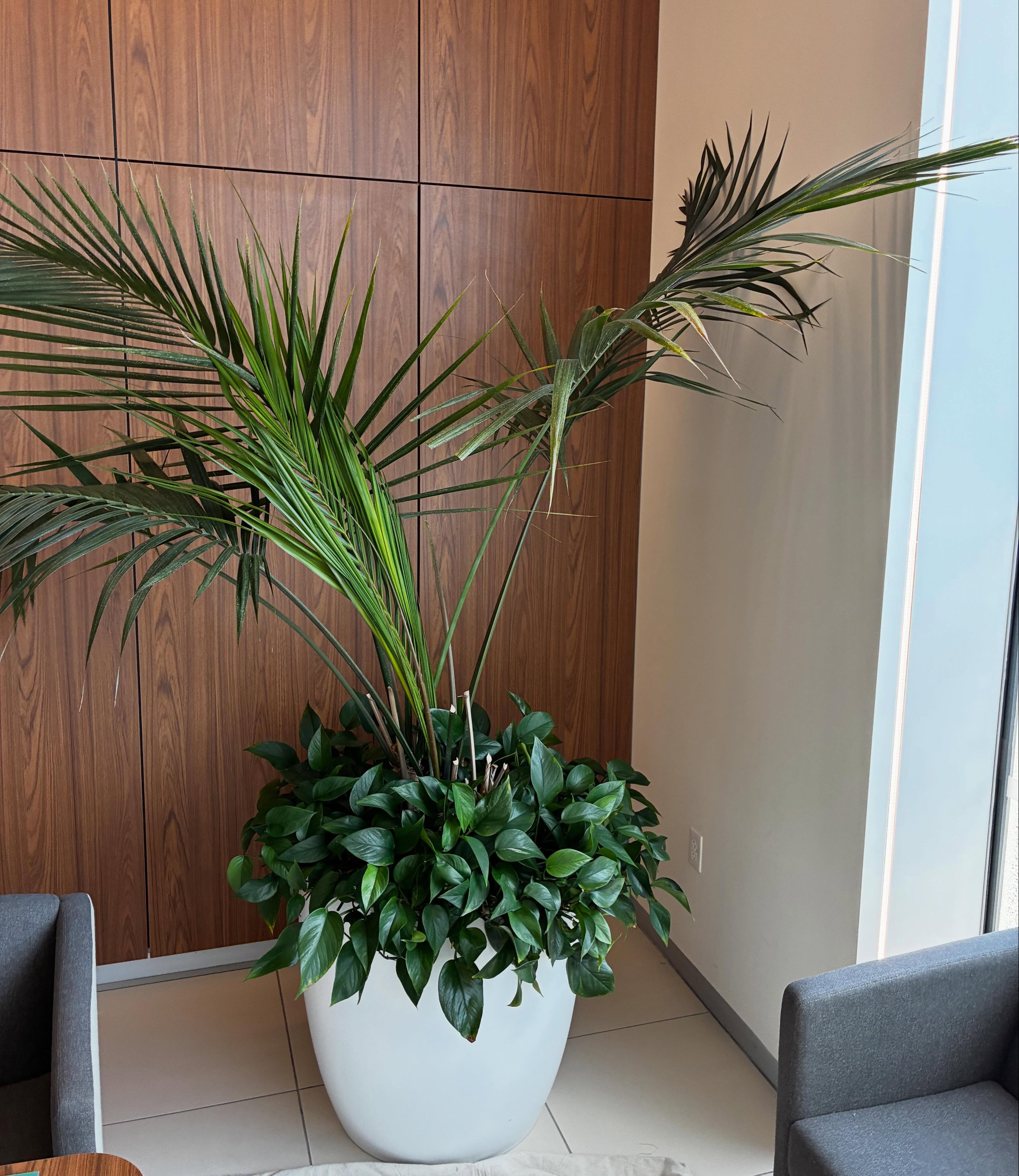 I love that my work is a meaningful connection with nature, and our clients are recipients of this joy and connection. Message me for a consult. ☮️ 🪴 #plantlady #plantythings #plantpeople