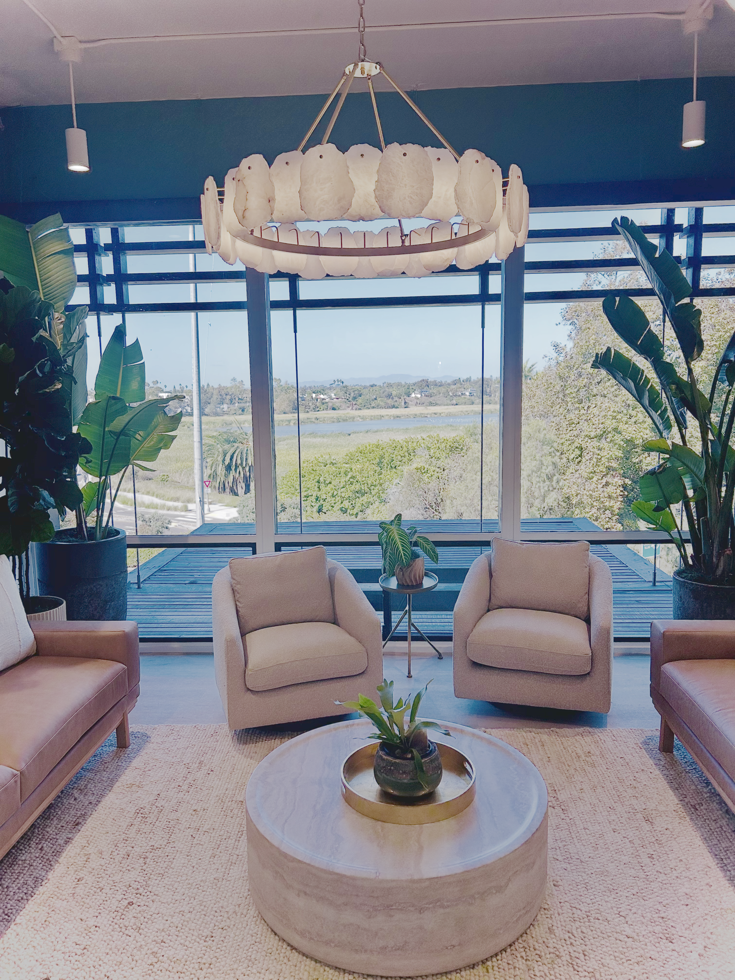Sitting Area with Plants