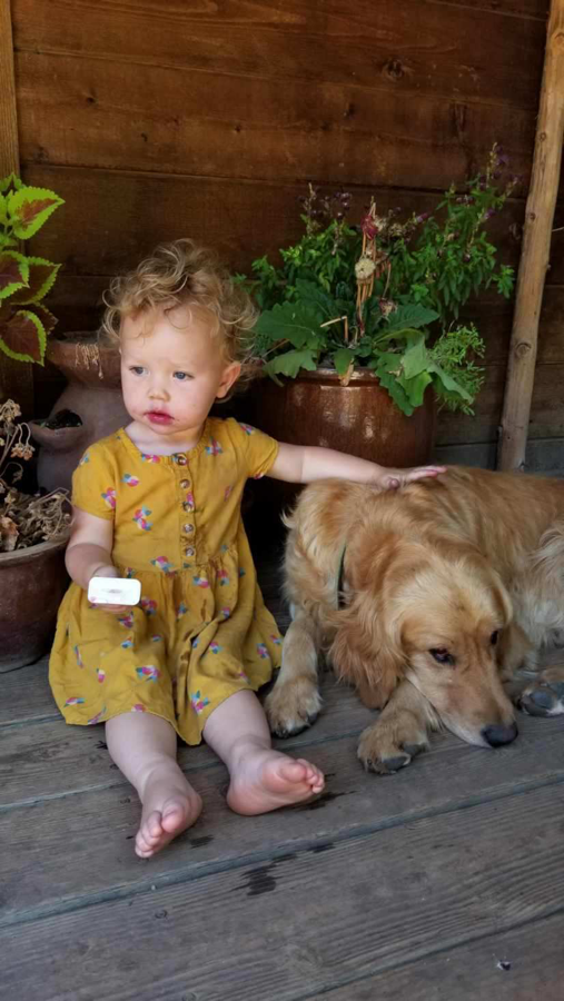 A young girl in a yellow dress with colorful print sitting on a wooden porch, petting a golden retriever laying beside her, with potted plants and a wooden wall in the background.