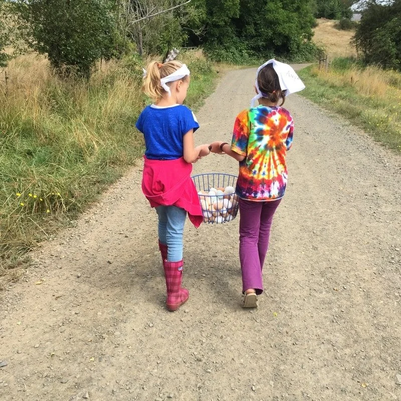 2012-2019 Farm Camp Gallery