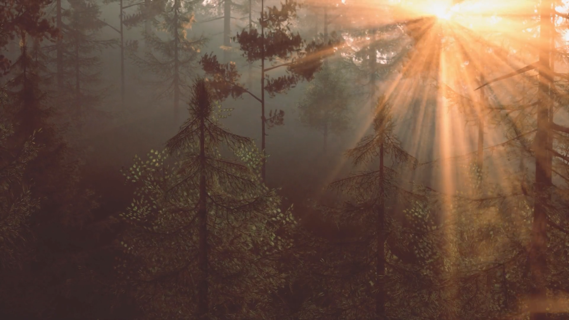 New Hope Counseling Lees Summit Mo.png