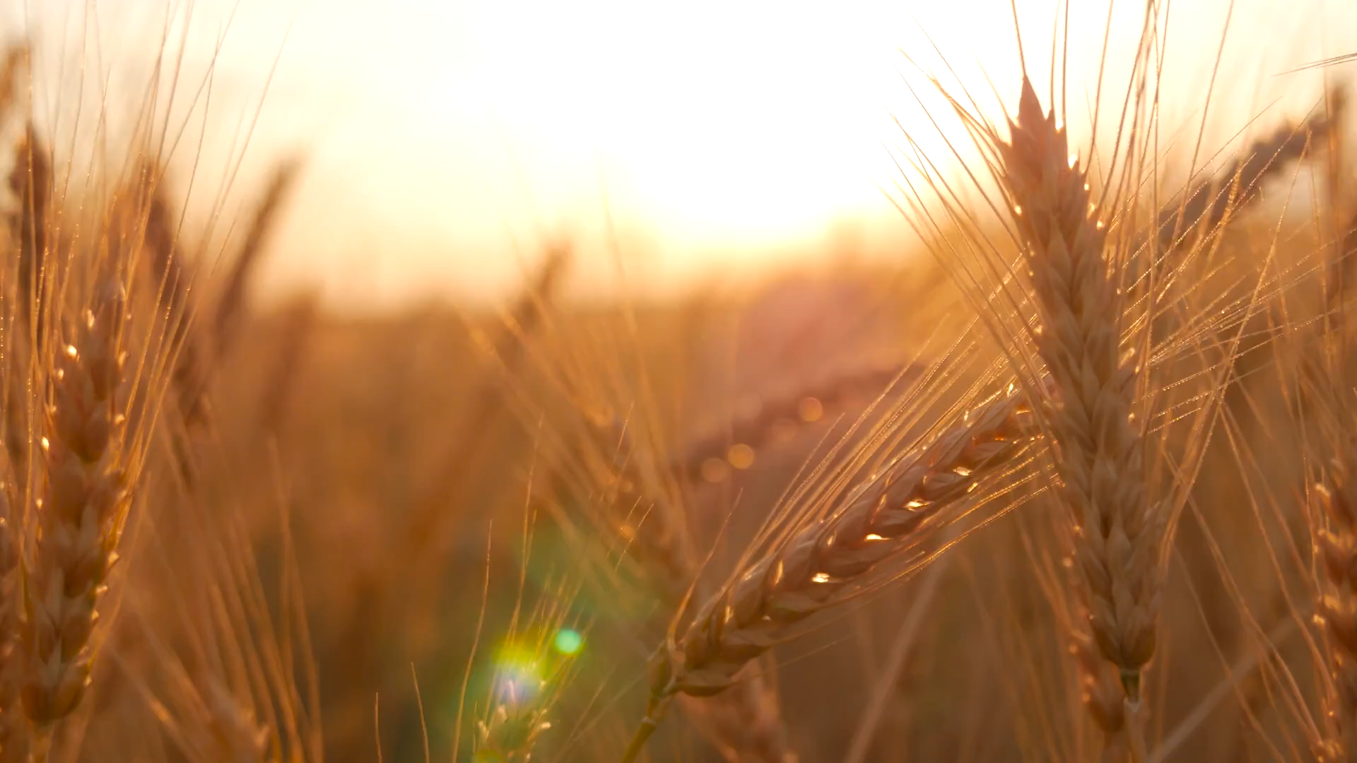 Home page default.png