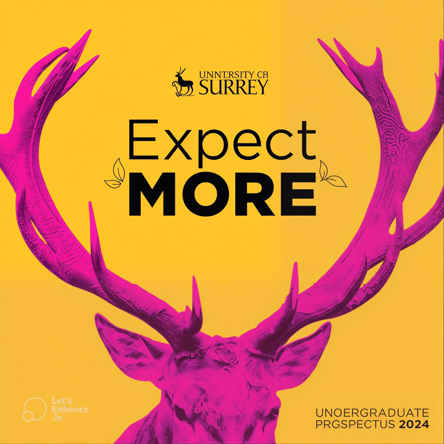 Surrey's 'Expect More' campaign visual, pink stag yellow circle