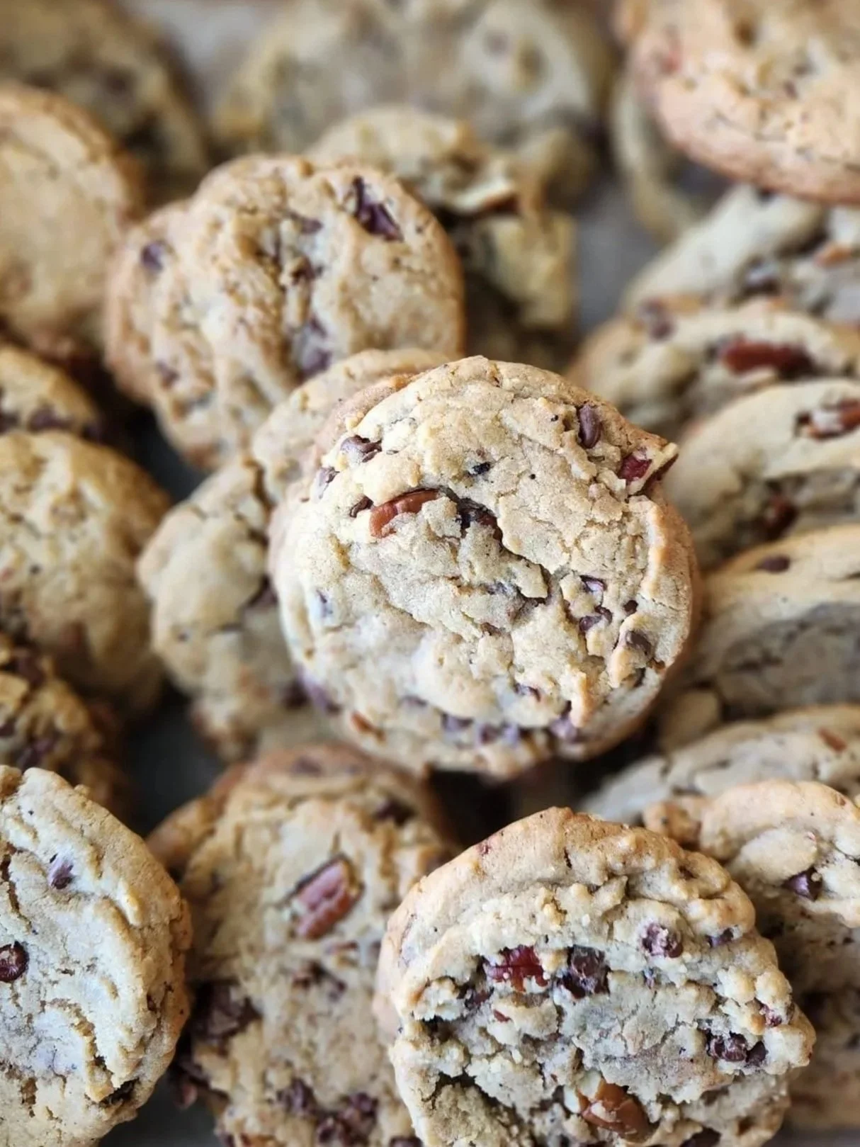 Pecan Chocolate Chip Cookies