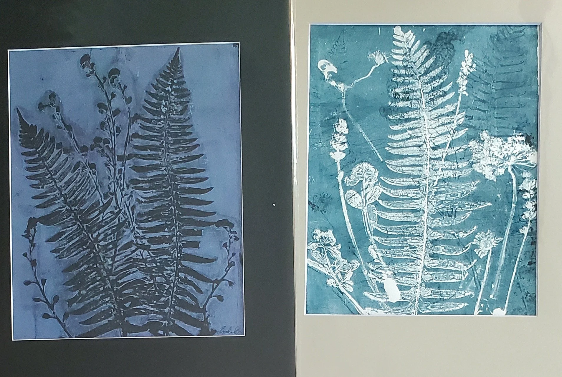 Original Botanical Prints