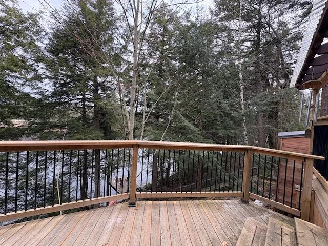View of a wooded backyard from a wooden deck with a black metal railing, surrounded by tall pine trees and some snow.