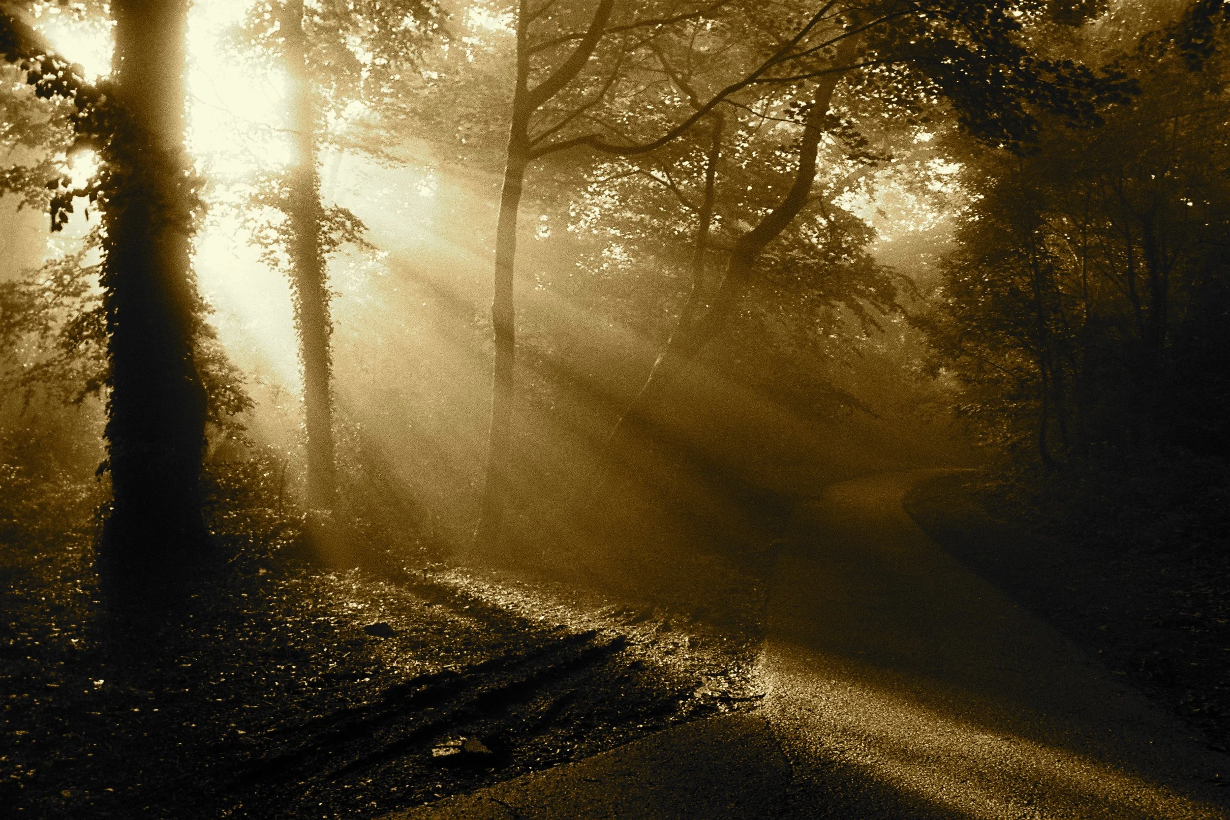 Killiney, Co. Dublin