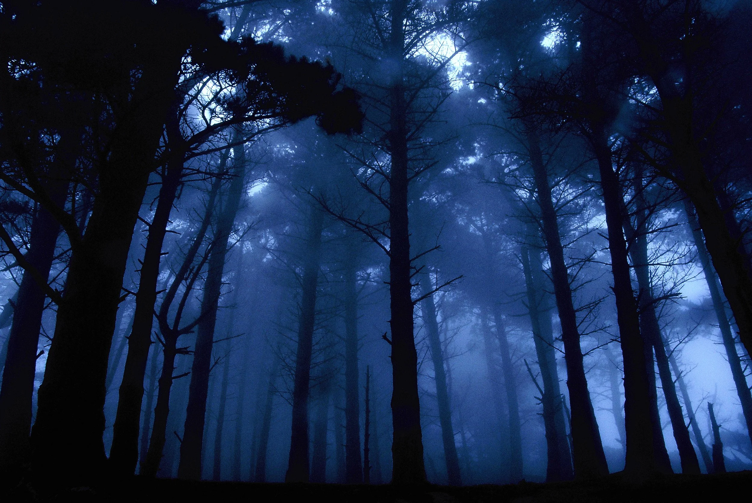 Killiney, Co. Dublin