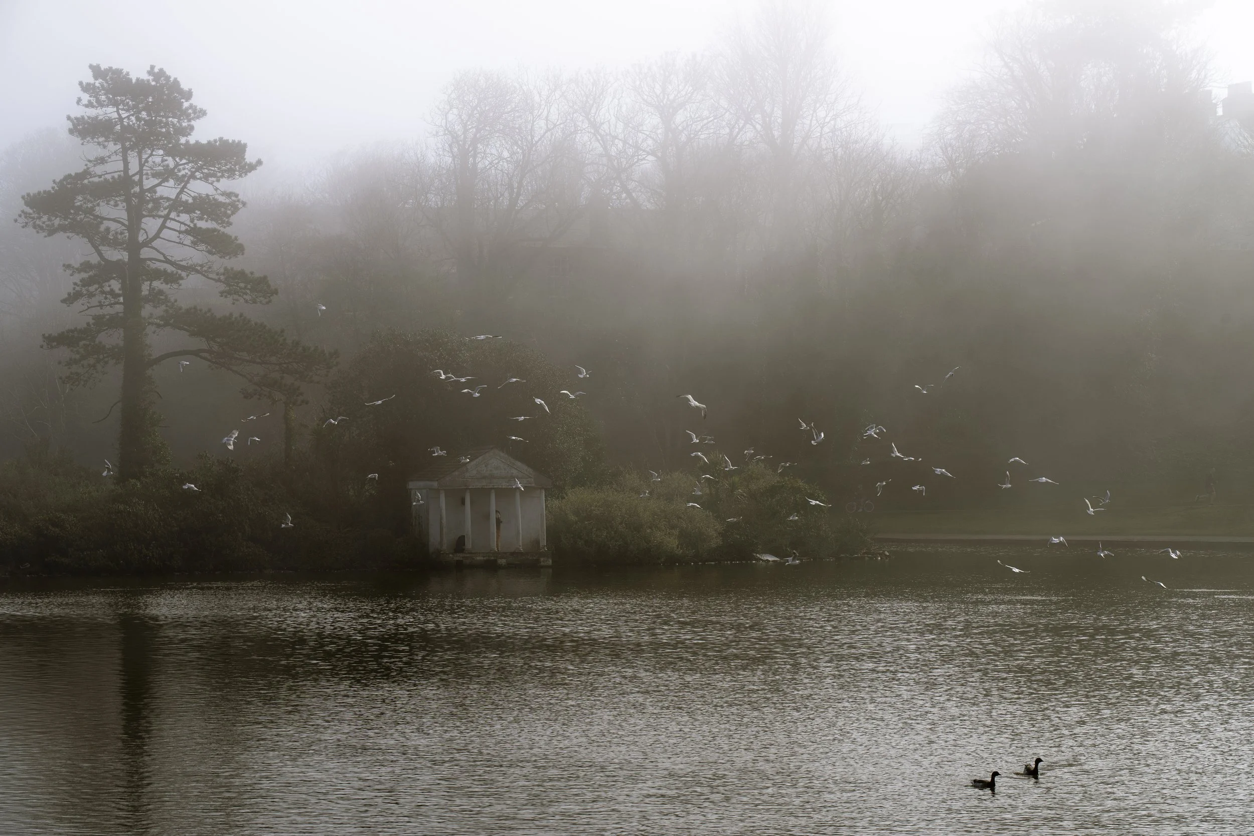 Blackrock Park, Blackrock, Co. Dublin