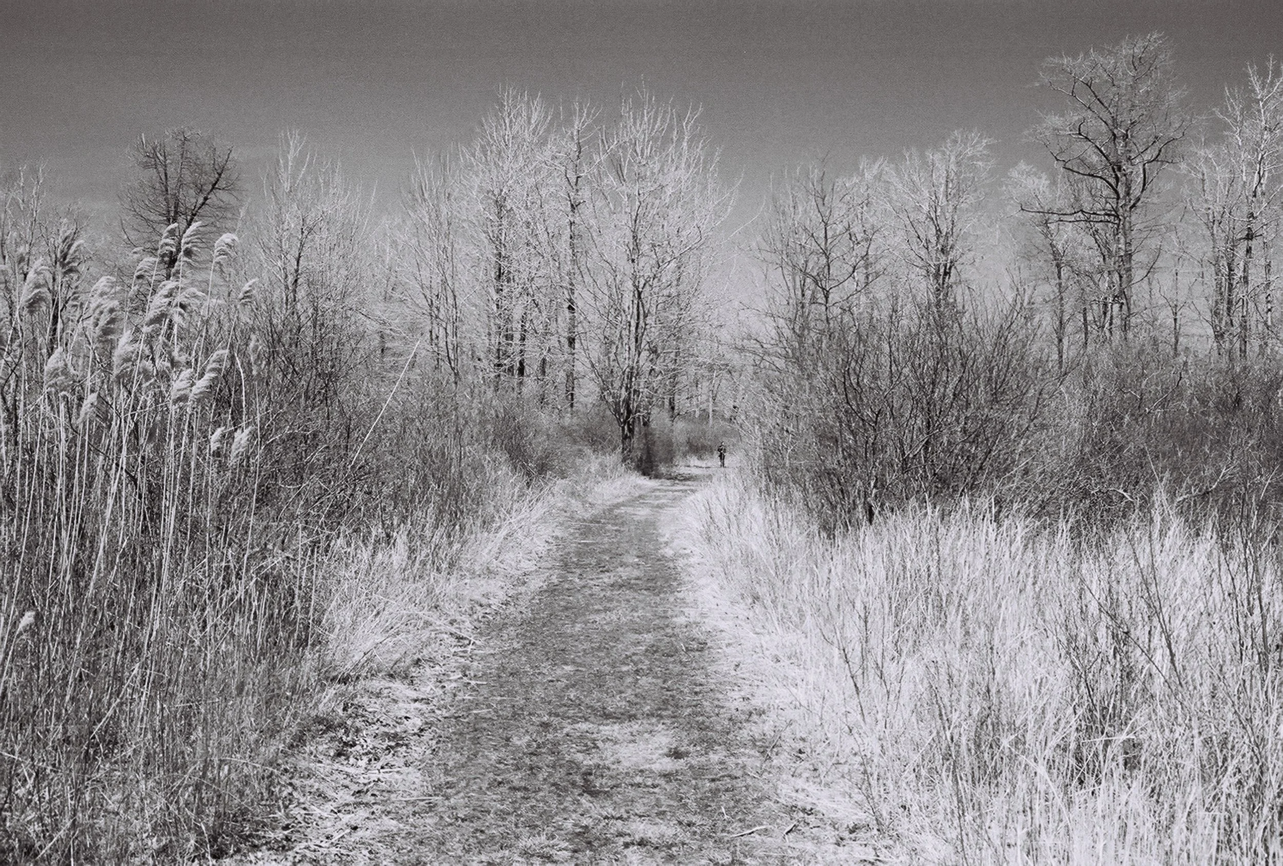 Presque Isle State Park, Erie, Pennsylvania, U.S.