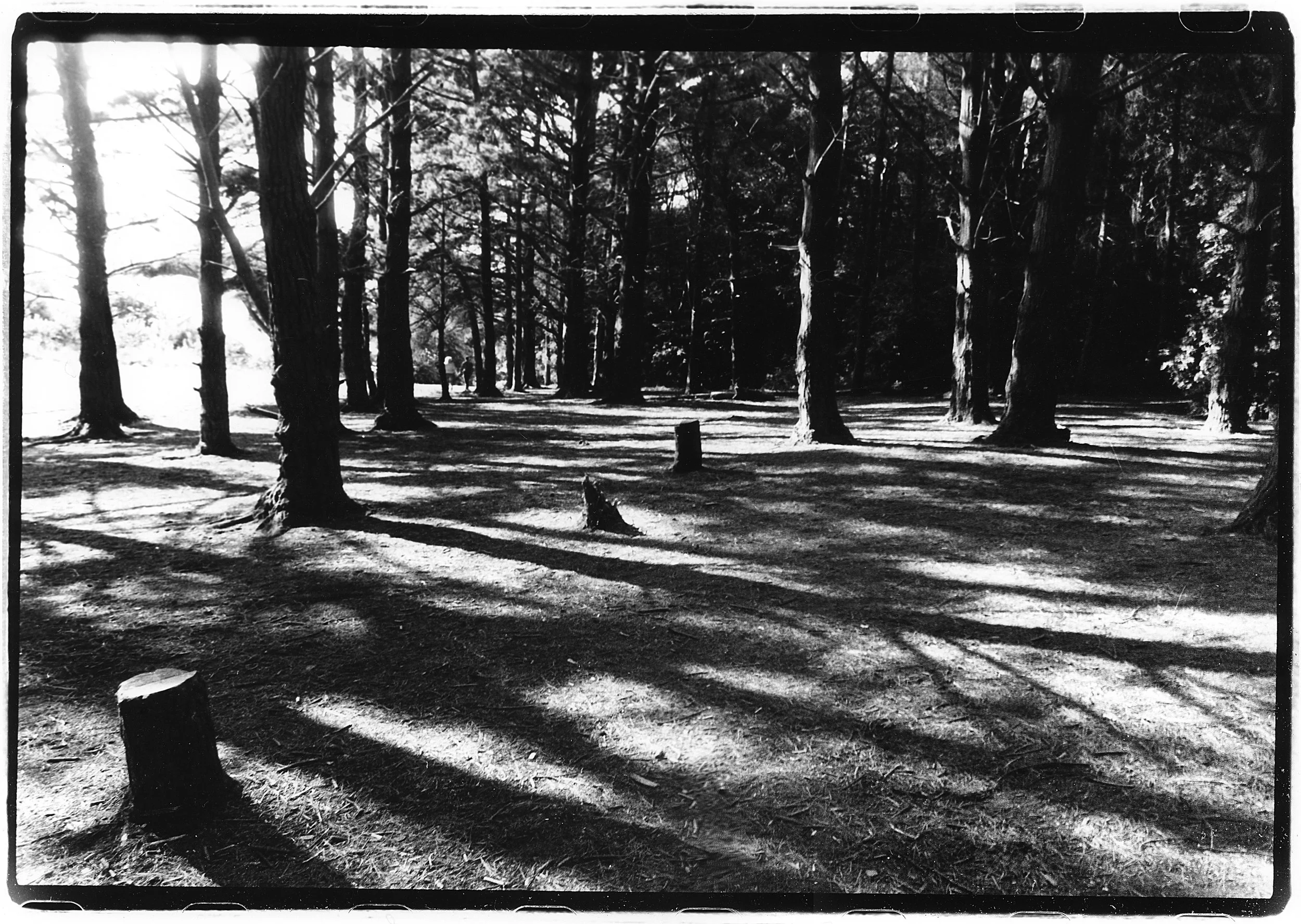 Killiney, Co. Dublin