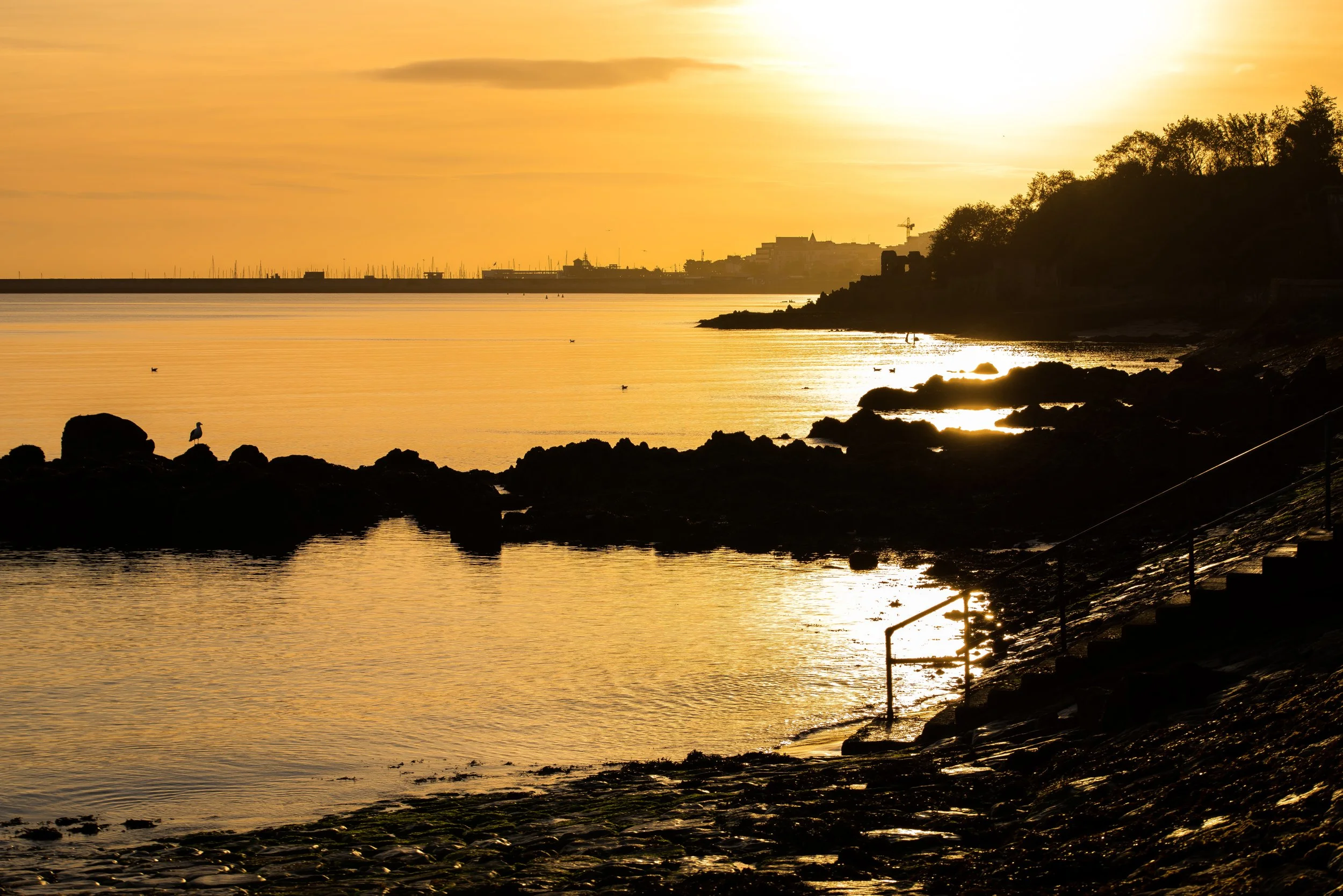 Blackrock, Co. Dublin