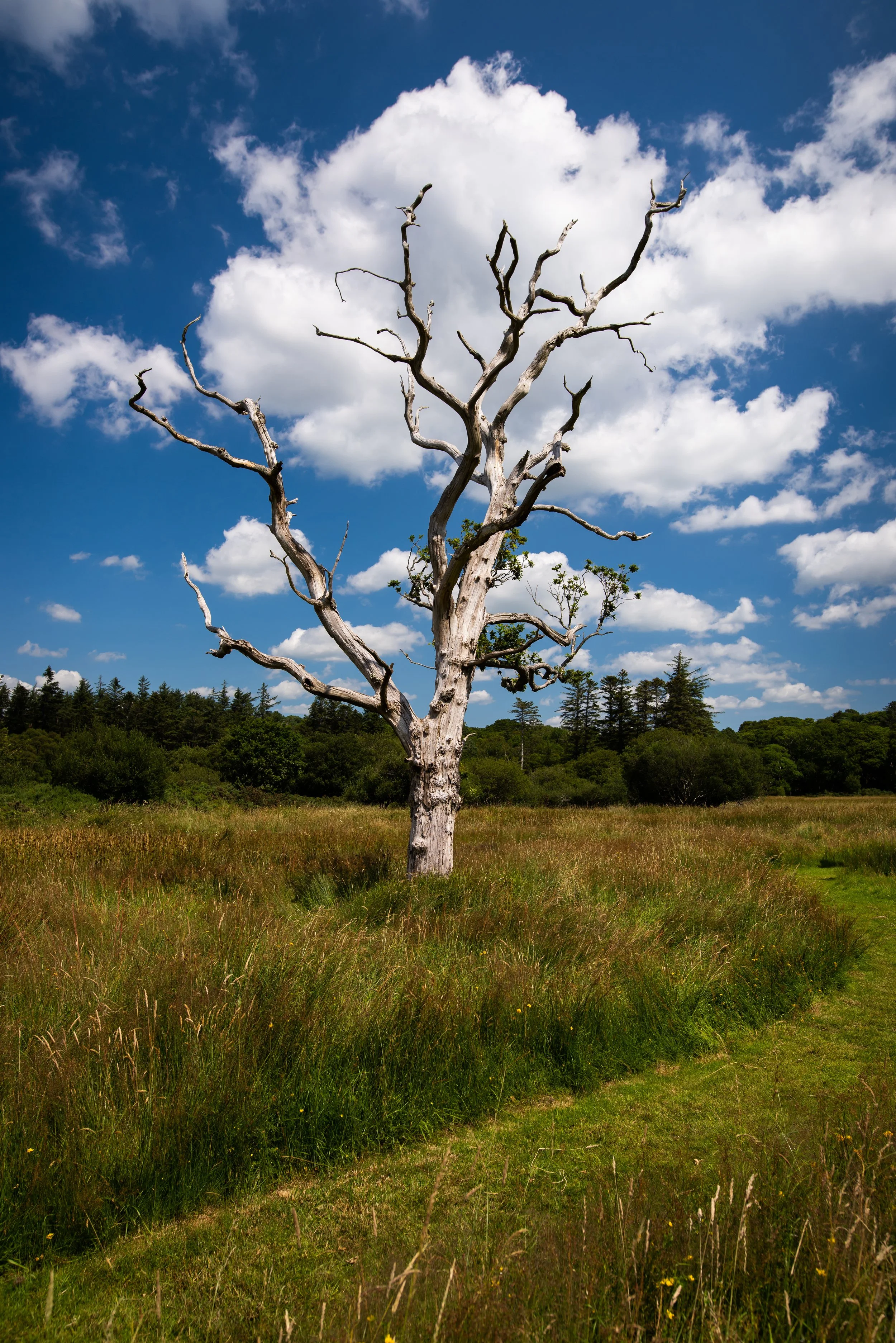Killarney, Co. Kerry